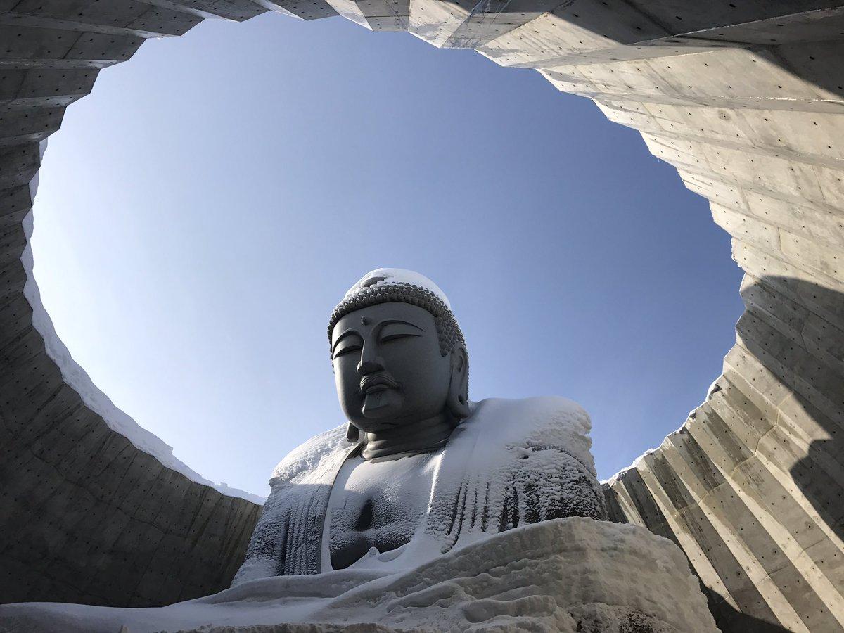 作为真驹内滝野灵园的象征,一石像大佛坐落于薰衣草山丘中的雄伟景观