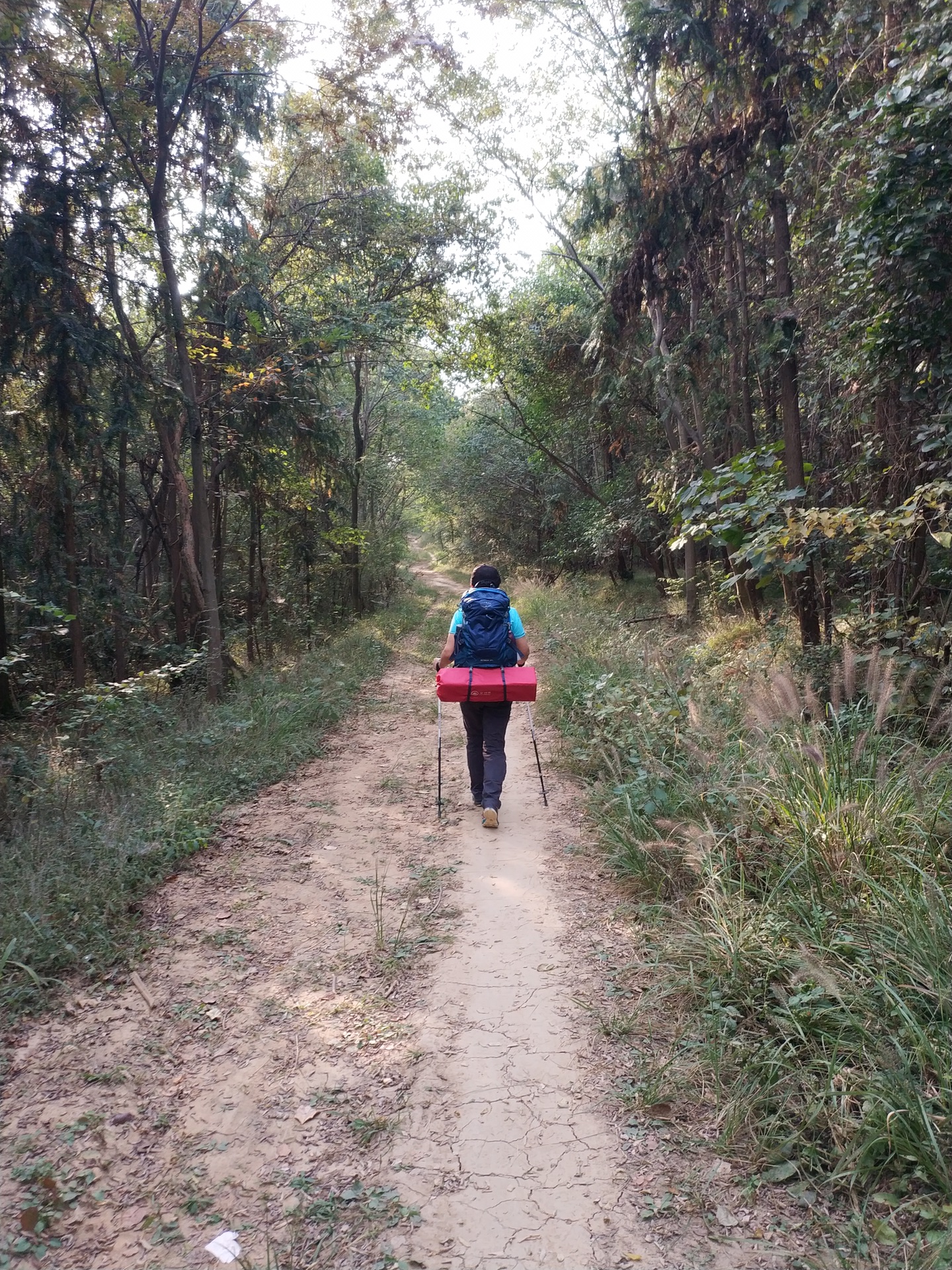 黄山露营