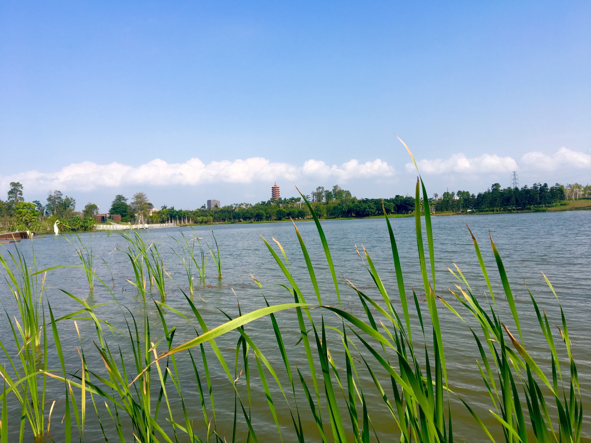 中山市古镇镇2019年GDP_中山市古镇镇