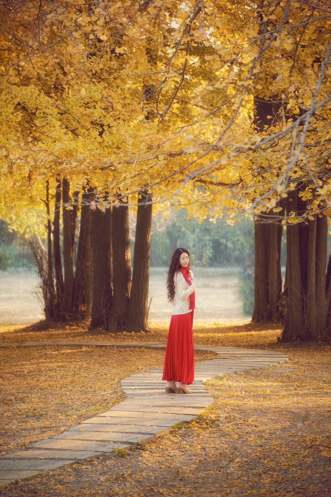 秋季浙江周边一日游推荐，带娃打卡网红赏秋地