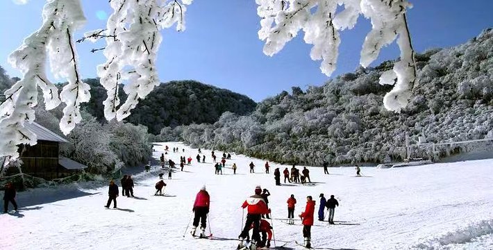 金佛山北坡景區冰雪大世界重慶海拔較高積雪條件較好的高山滑雪場