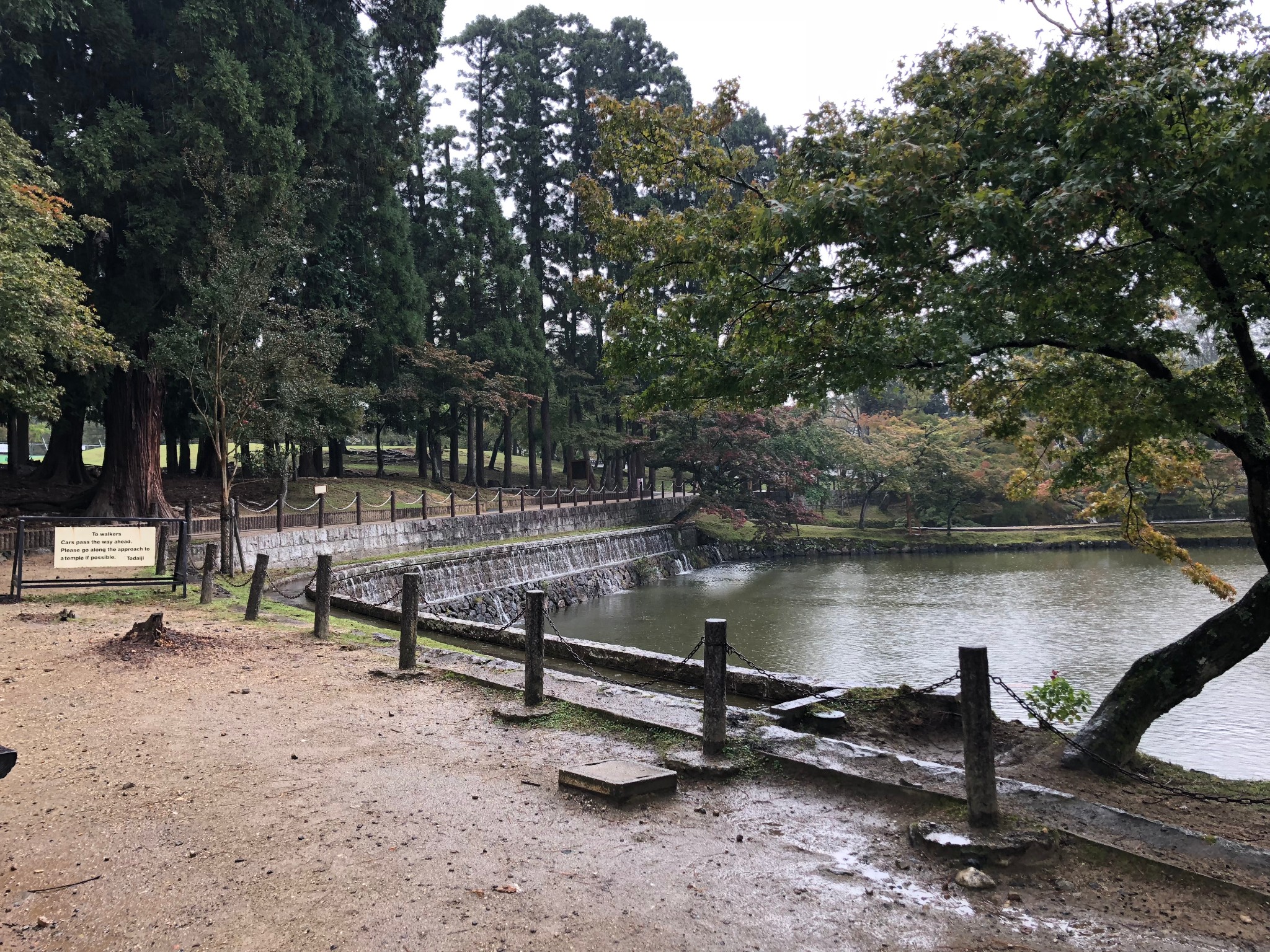 京都自助遊攻略