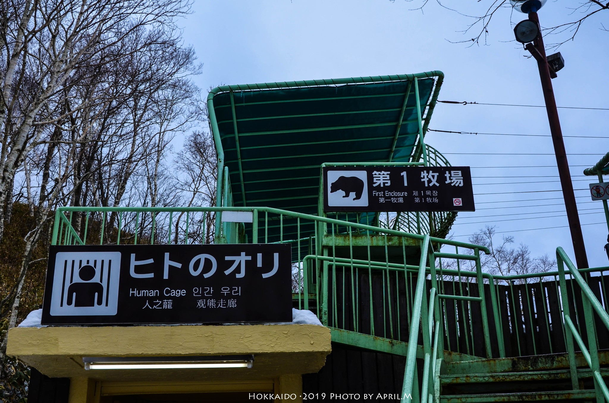 北海道自助遊攻略