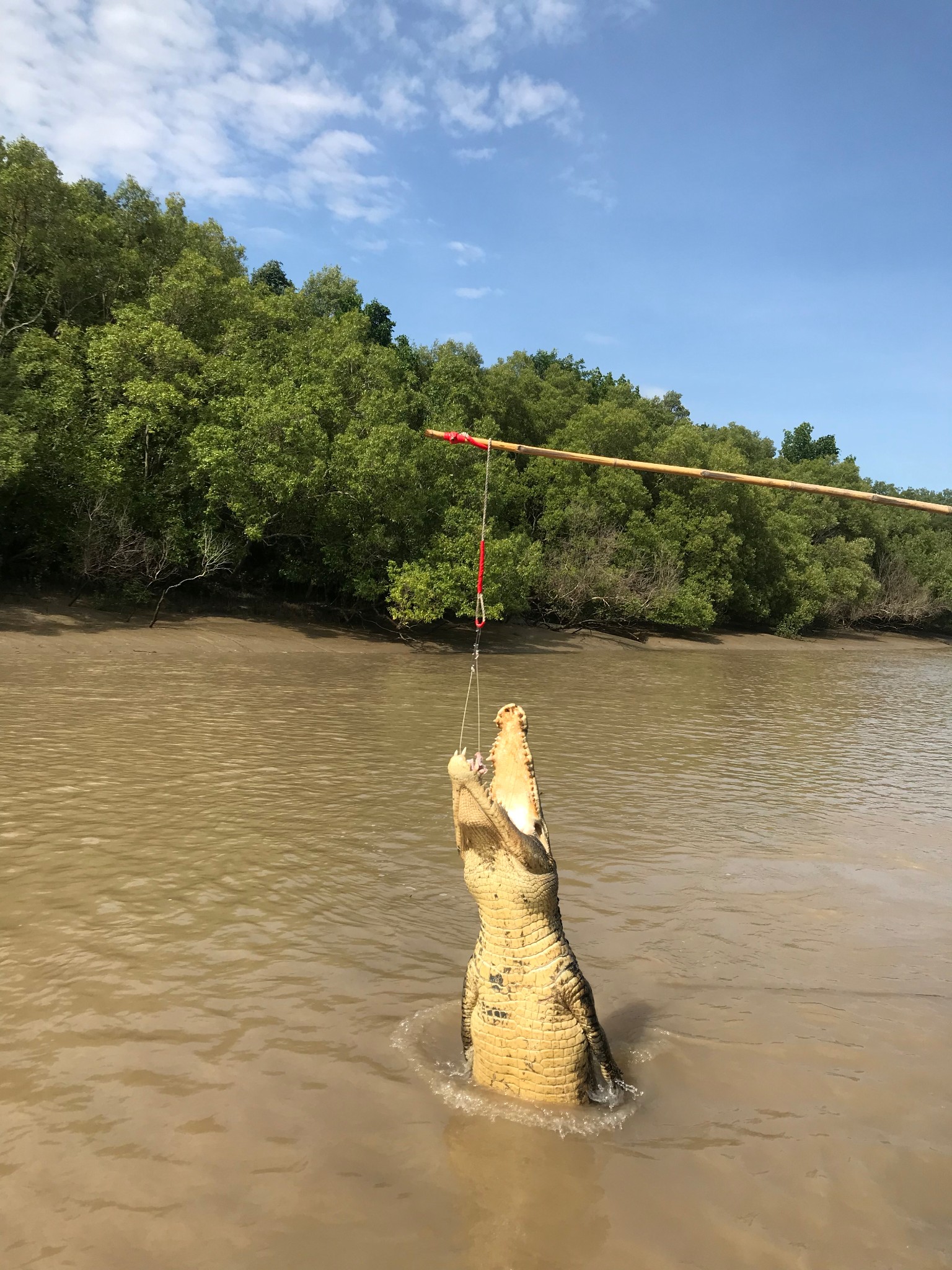 【澳洲北领地】——阿德莱德河坐船钓鳄鱼_游记