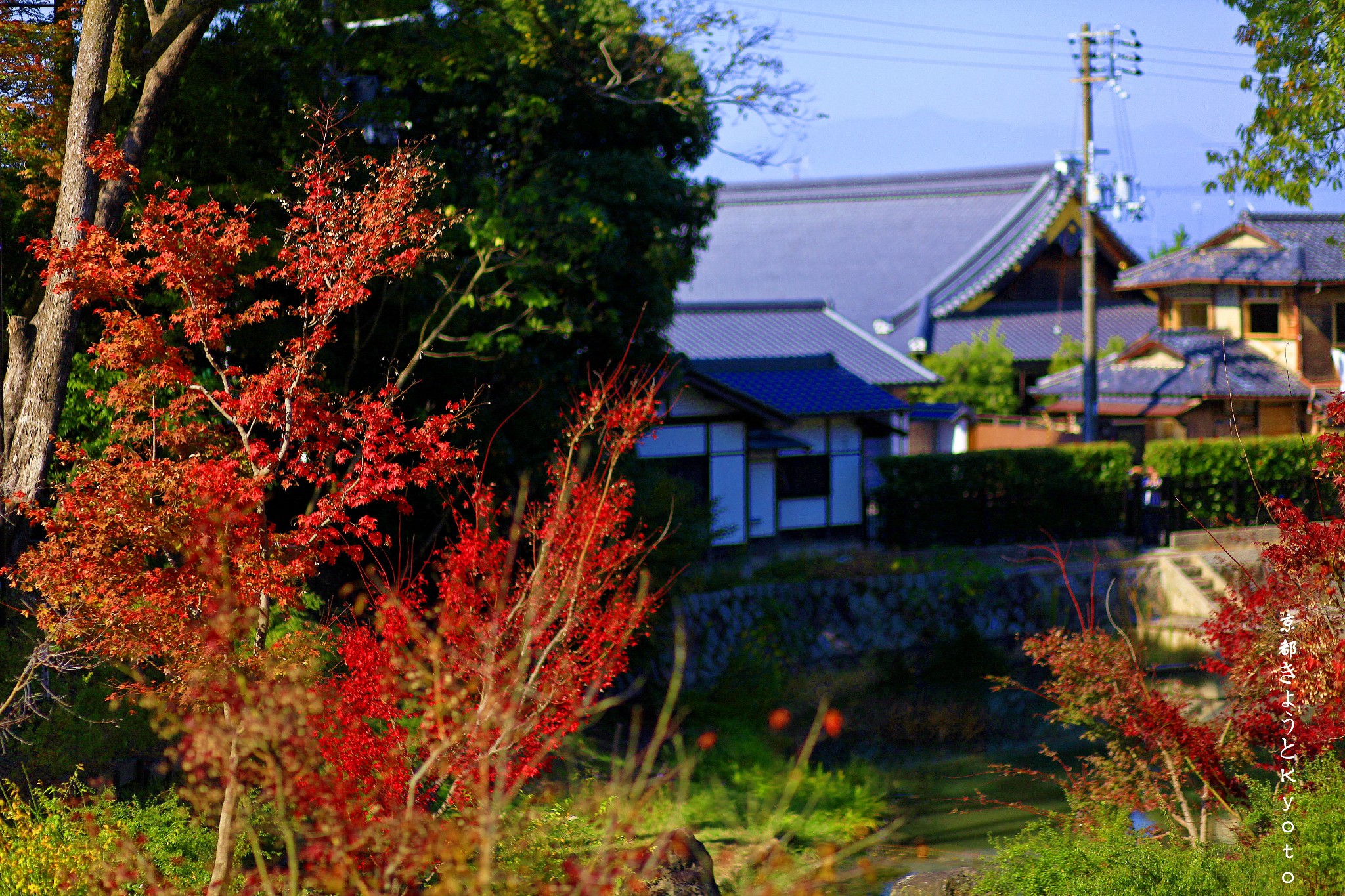 京都自助遊攻略