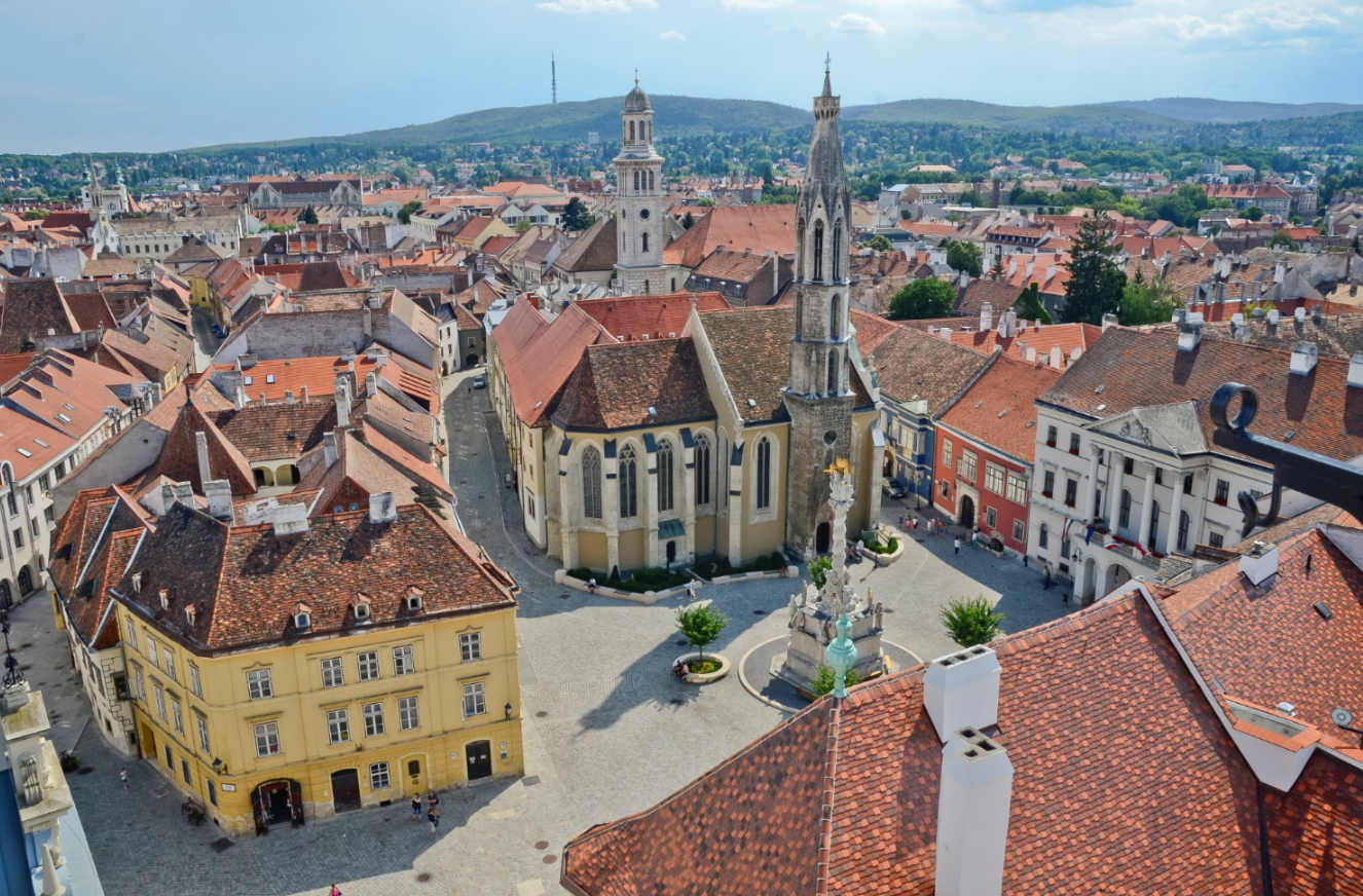 在米什科尔茨的潘农海洋博物馆里,珍藏着来自7百万年前的古老沼泽柏