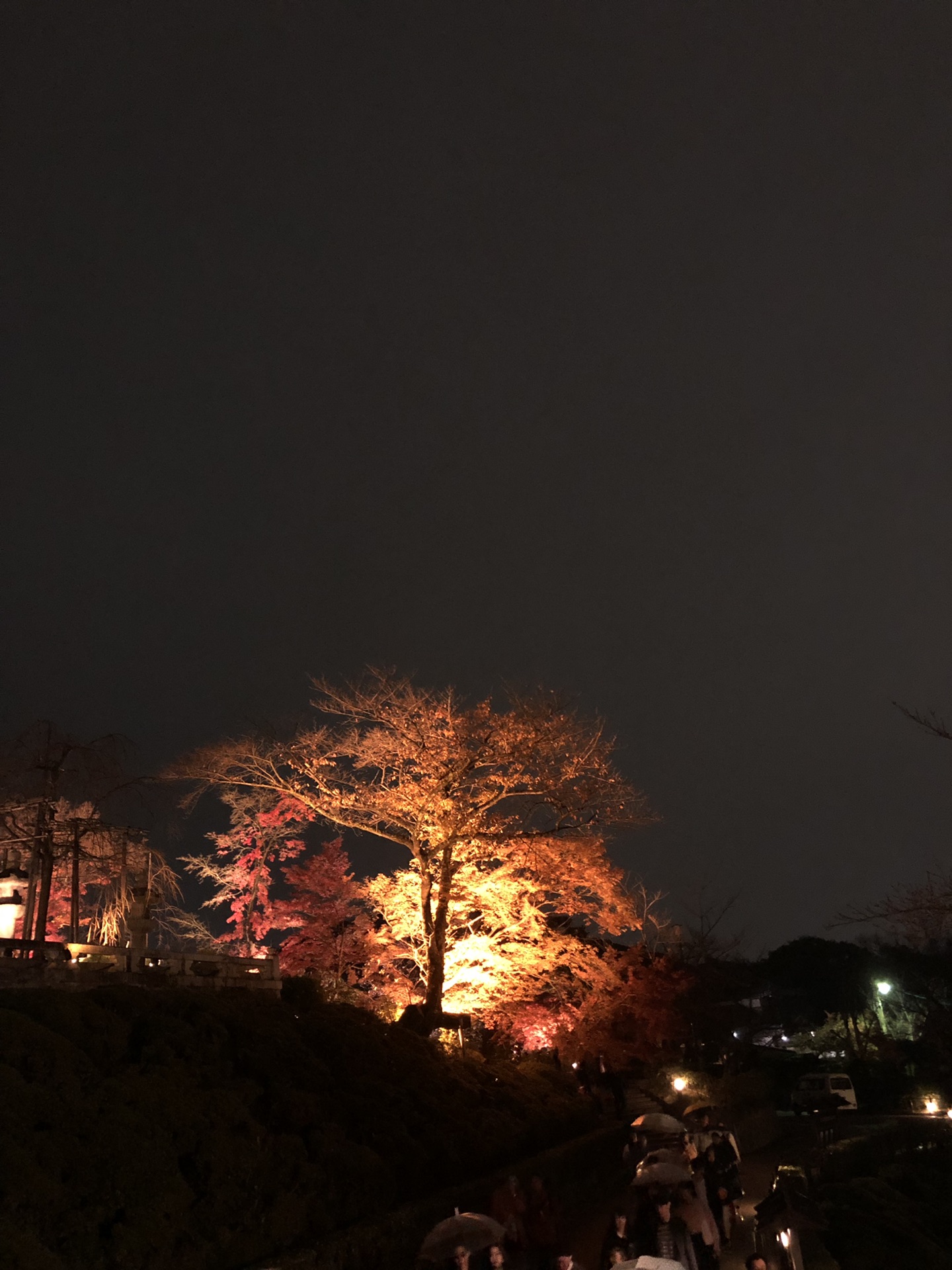 東京自助遊攻略