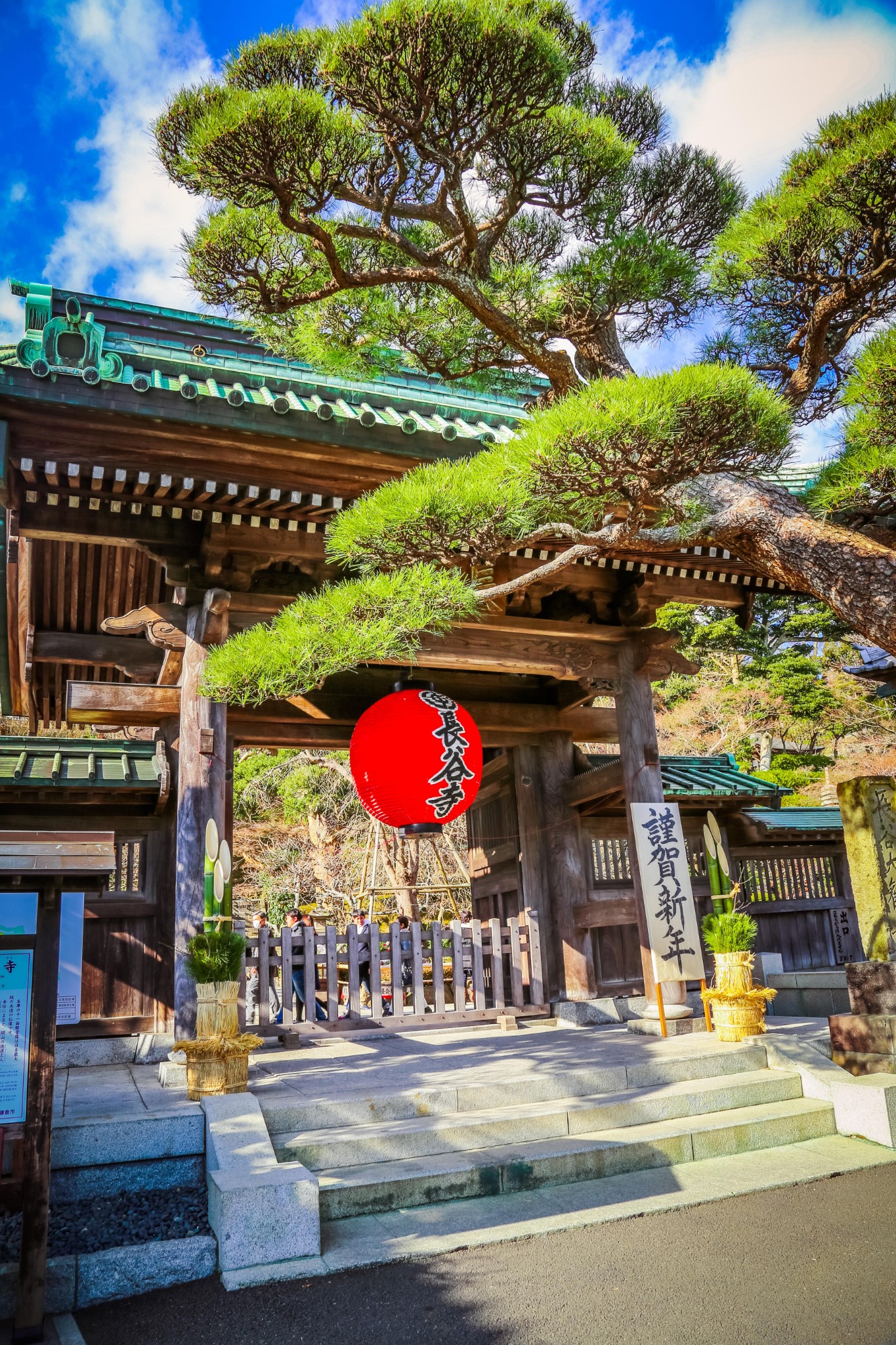 【镰仓景点图片】长谷寺