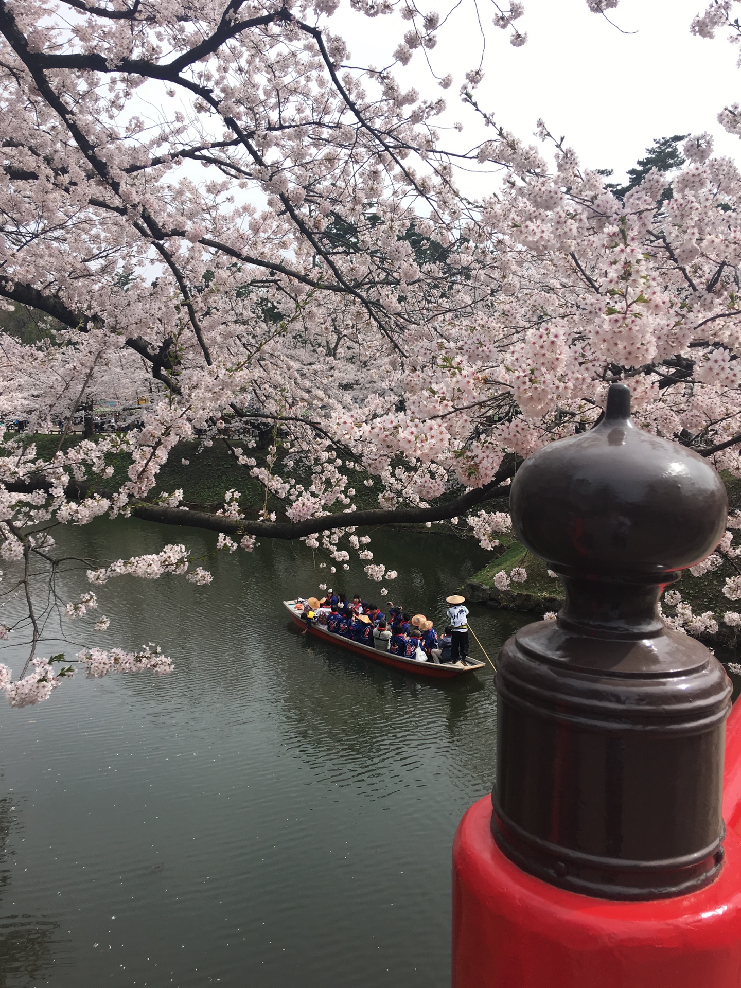 青森縣自助遊攻略