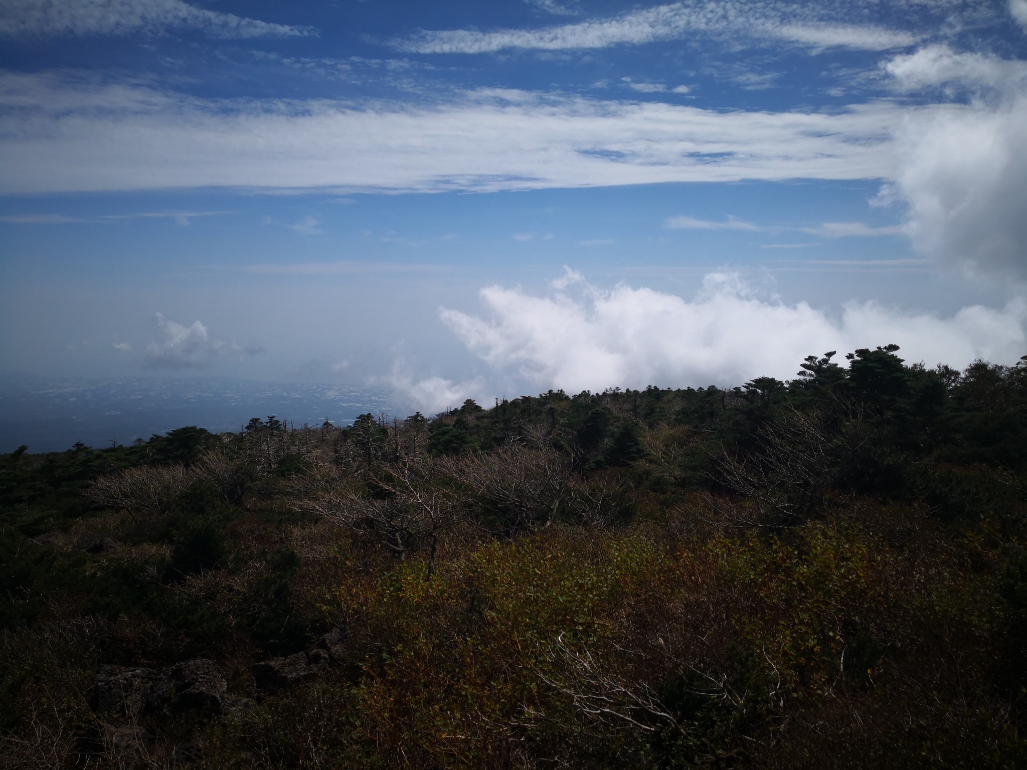 濟州島自助遊攻略