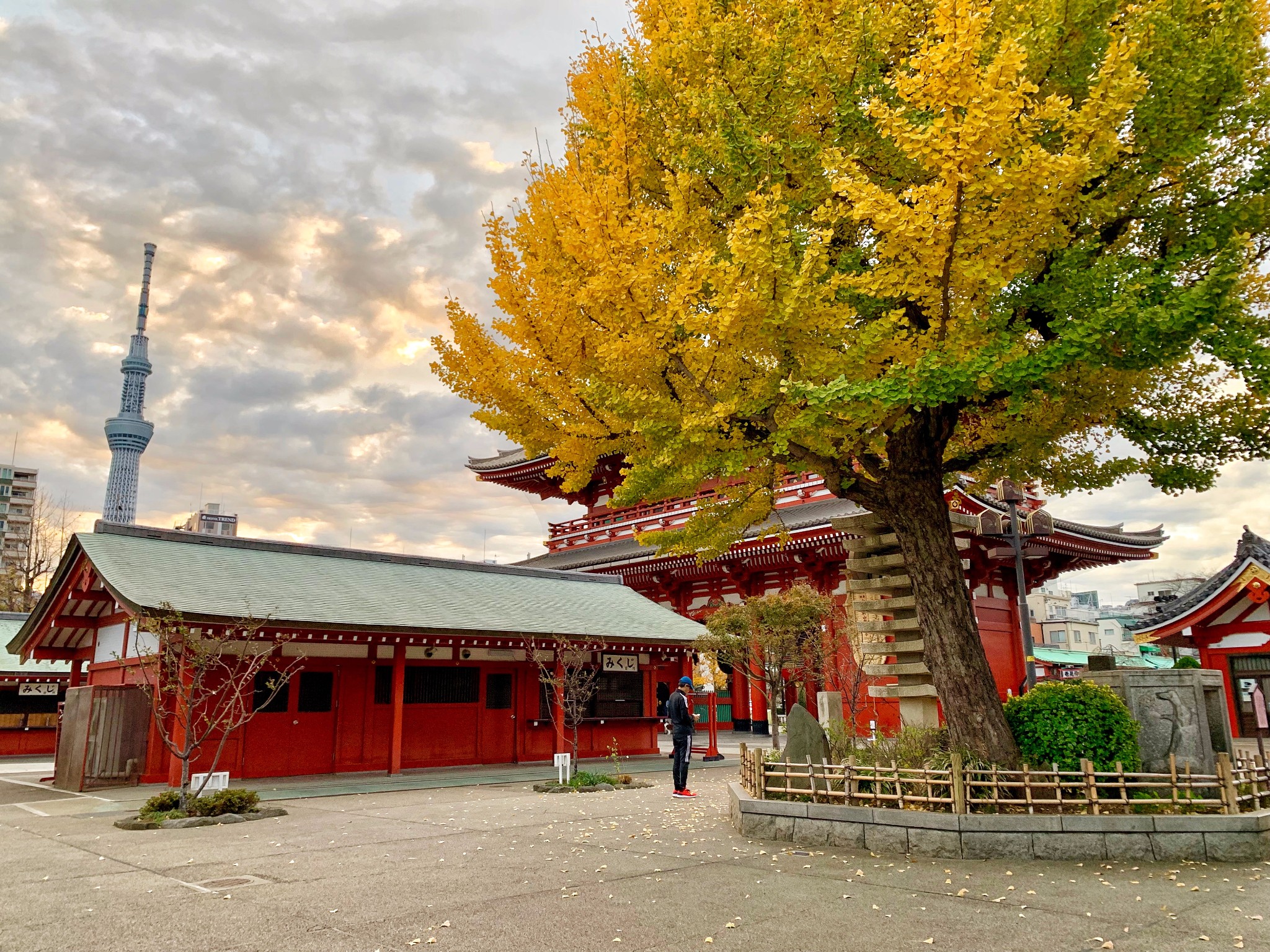 日光山轮王寺 游记