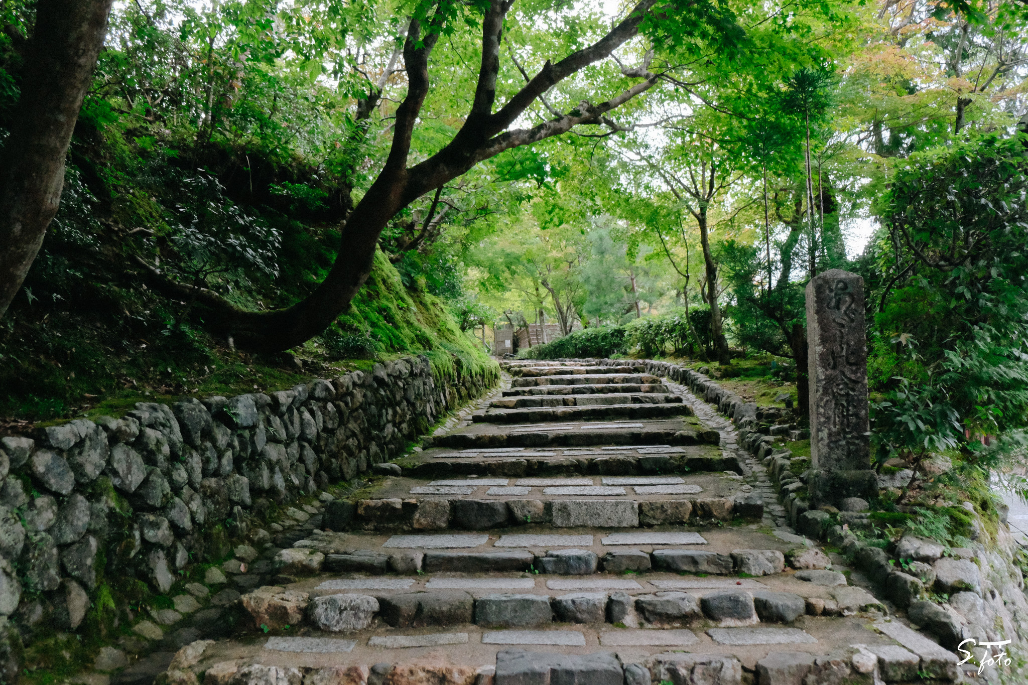 京都自助遊攻略