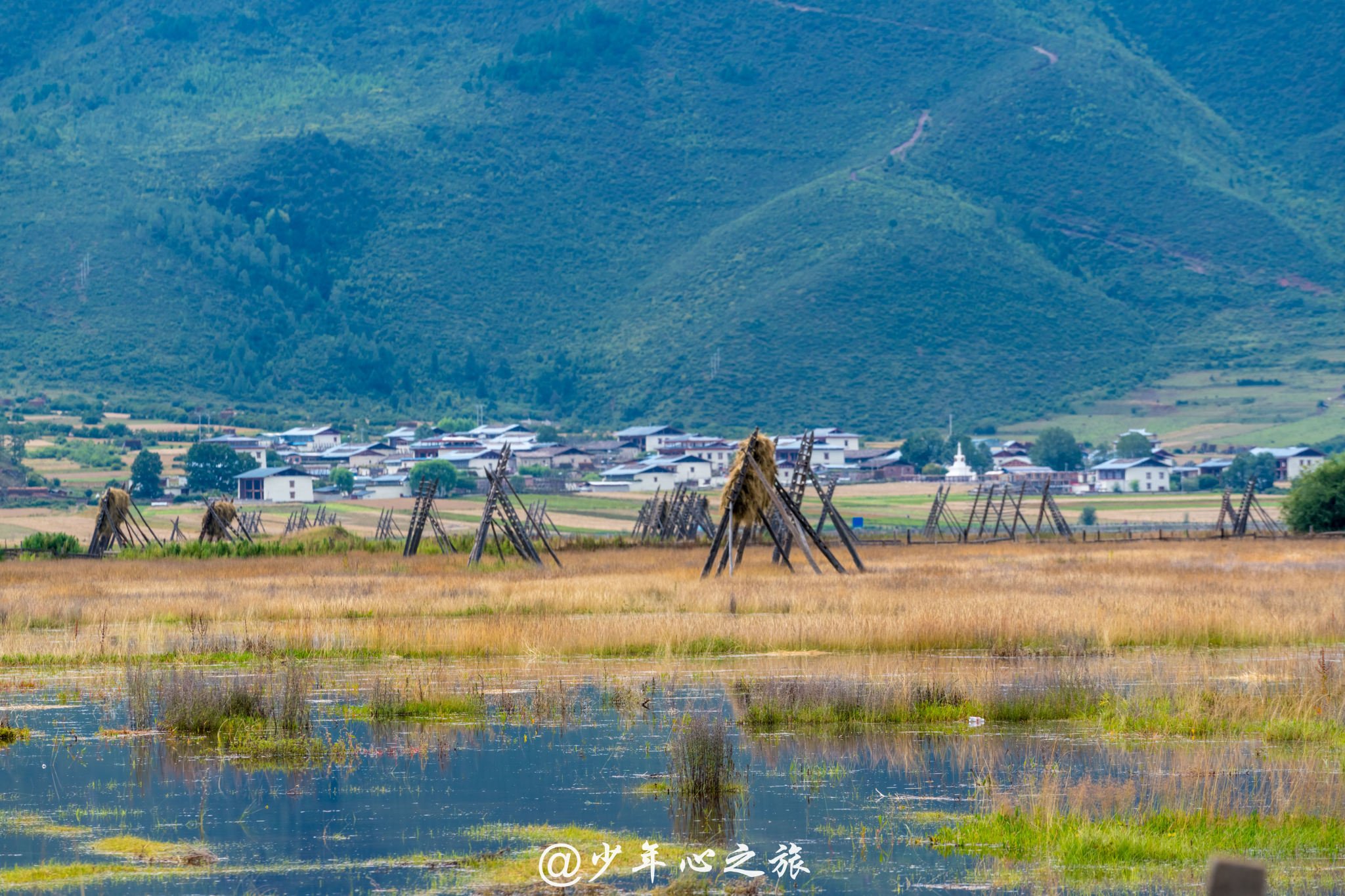 香格裡拉自助遊攻略