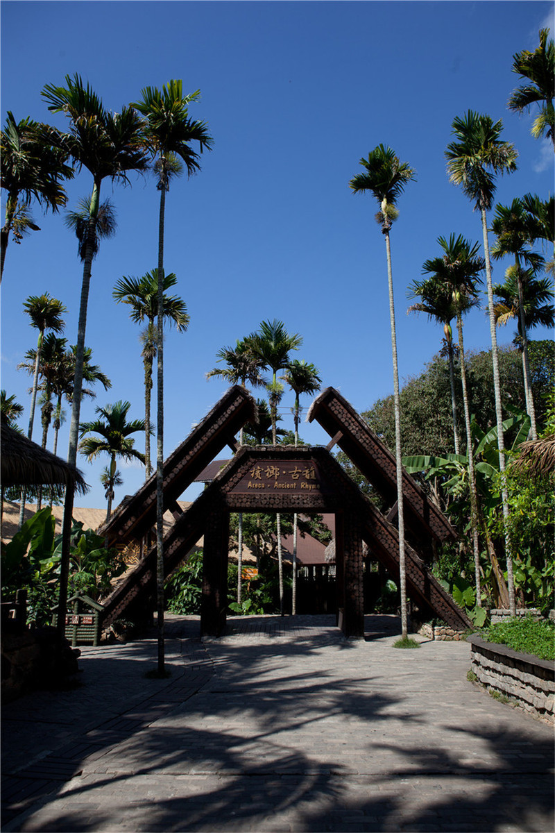 海南槟榔谷黎苗文化旅游区(海南槟榔谷黎苗文化旅游区导游词)