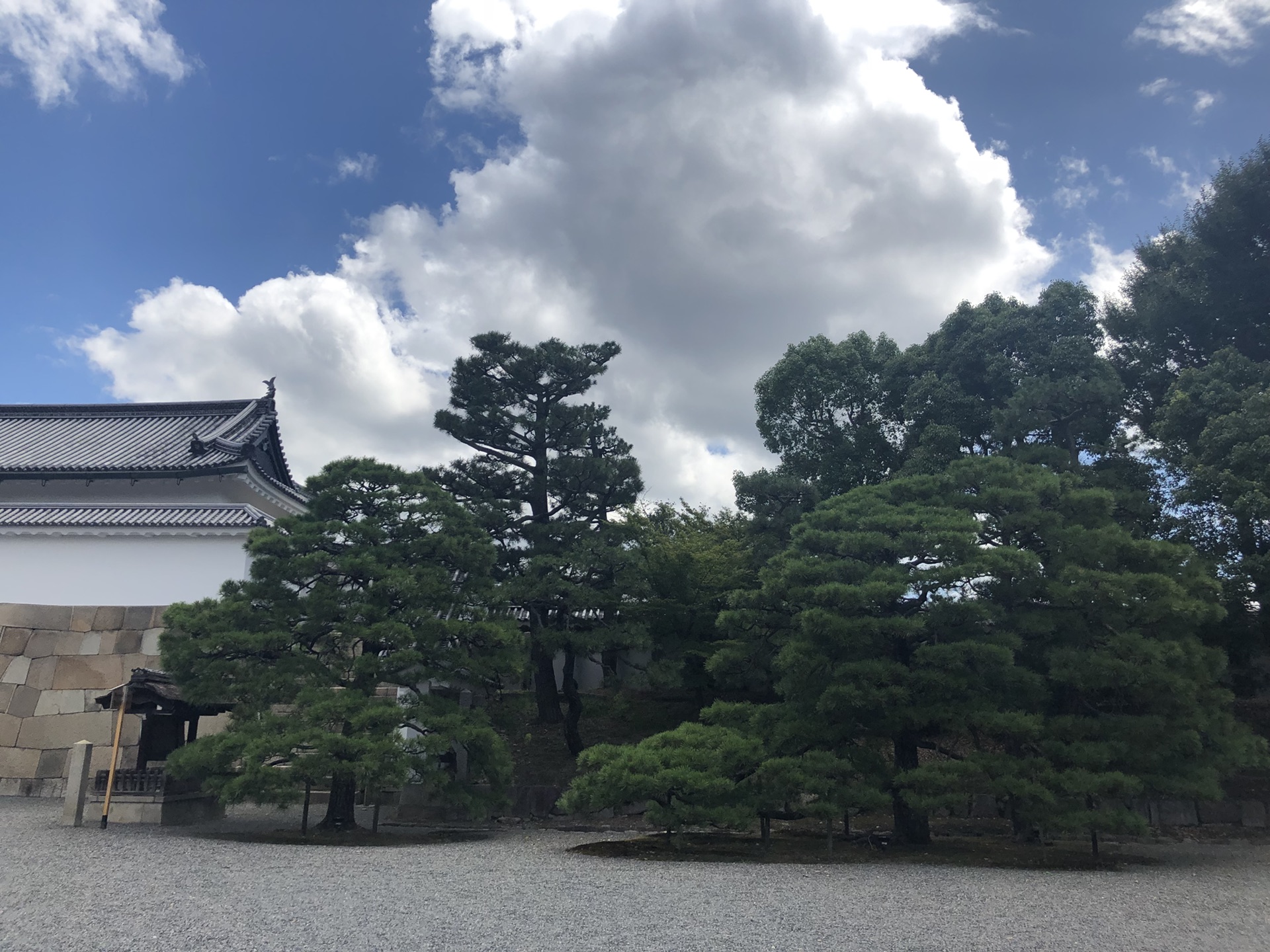 京都自助遊攻略