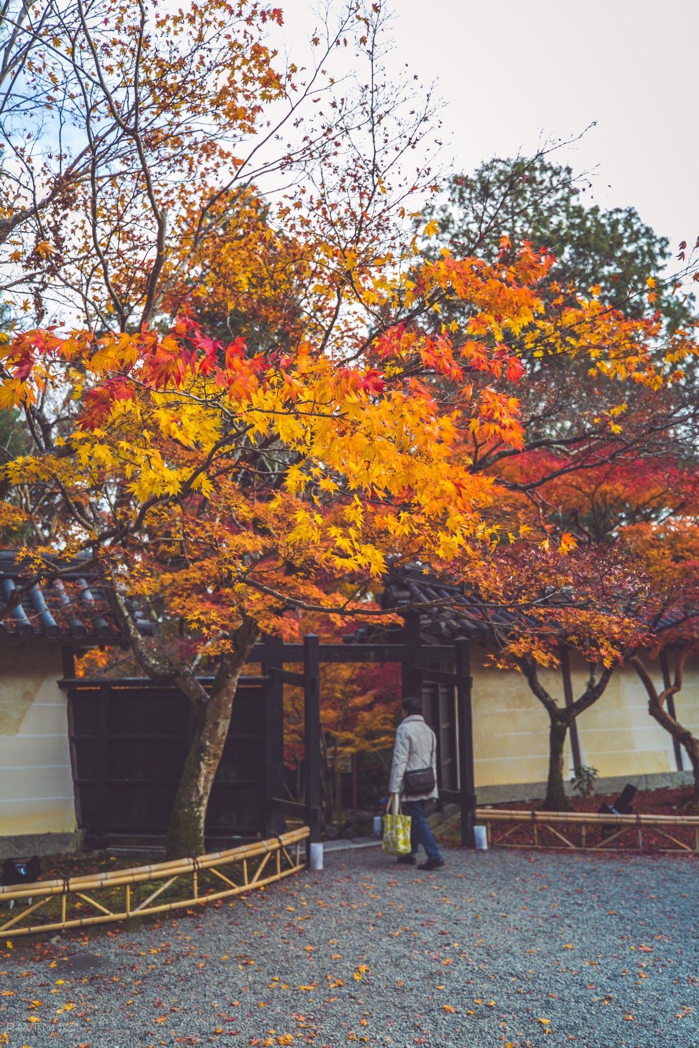 京都自助遊攻略