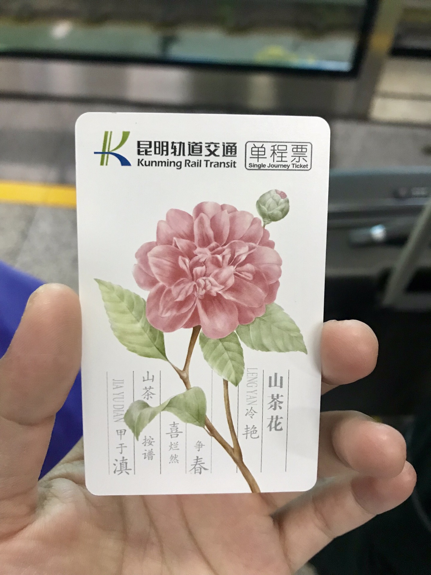 陪伴是最长情的告白