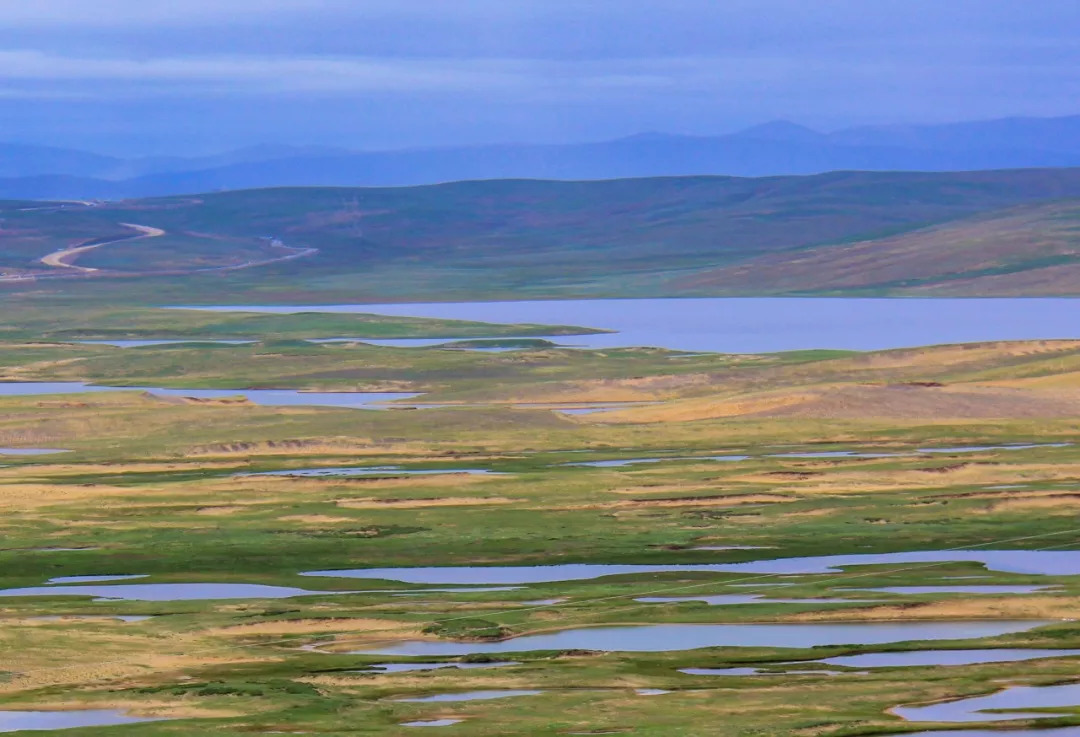 星宿海位于青海果洛州玛多县▼