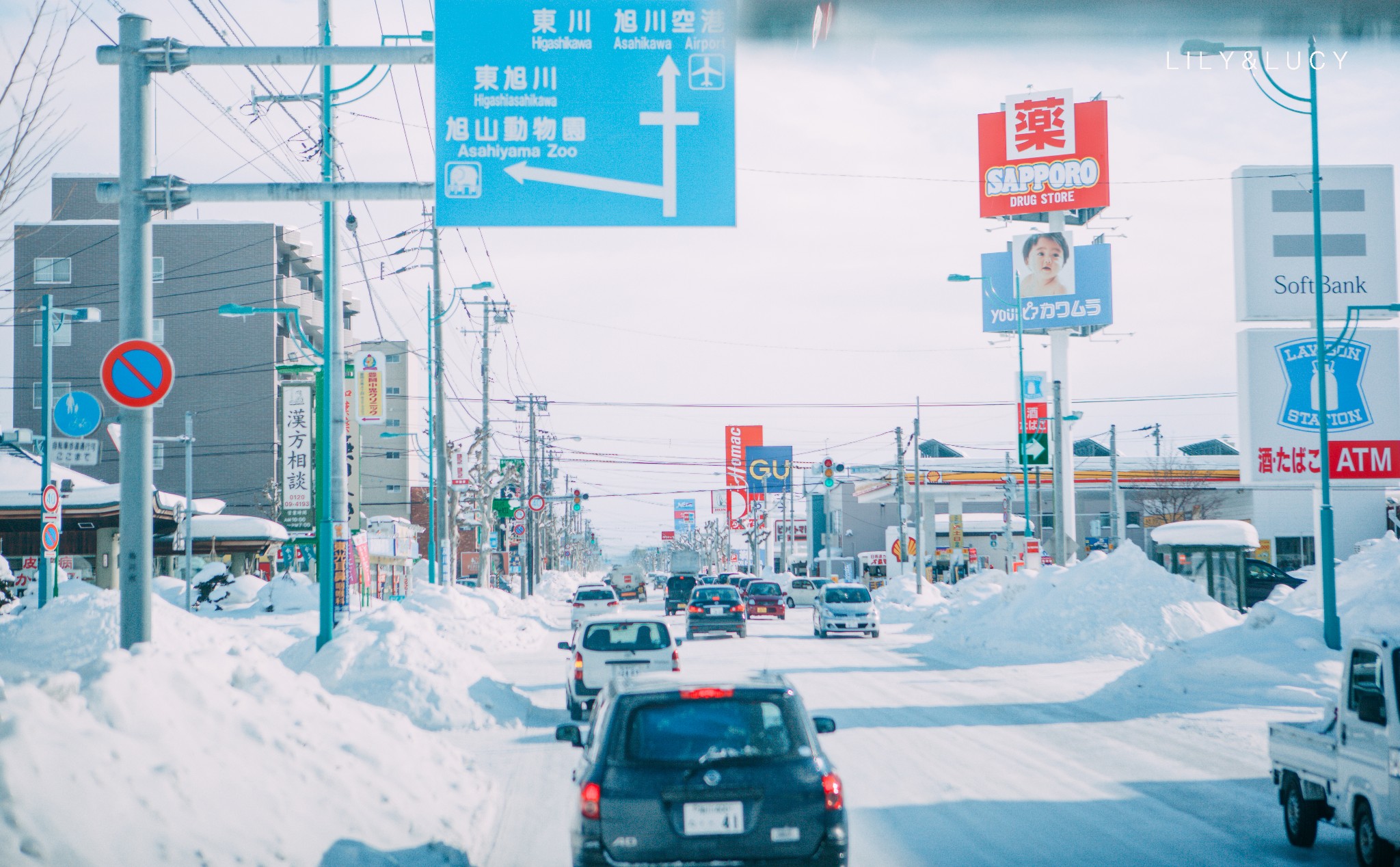 北海道自助遊攻略