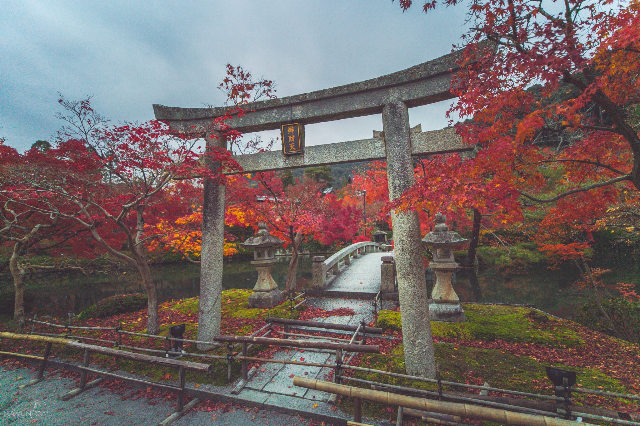 京都自助遊攻略