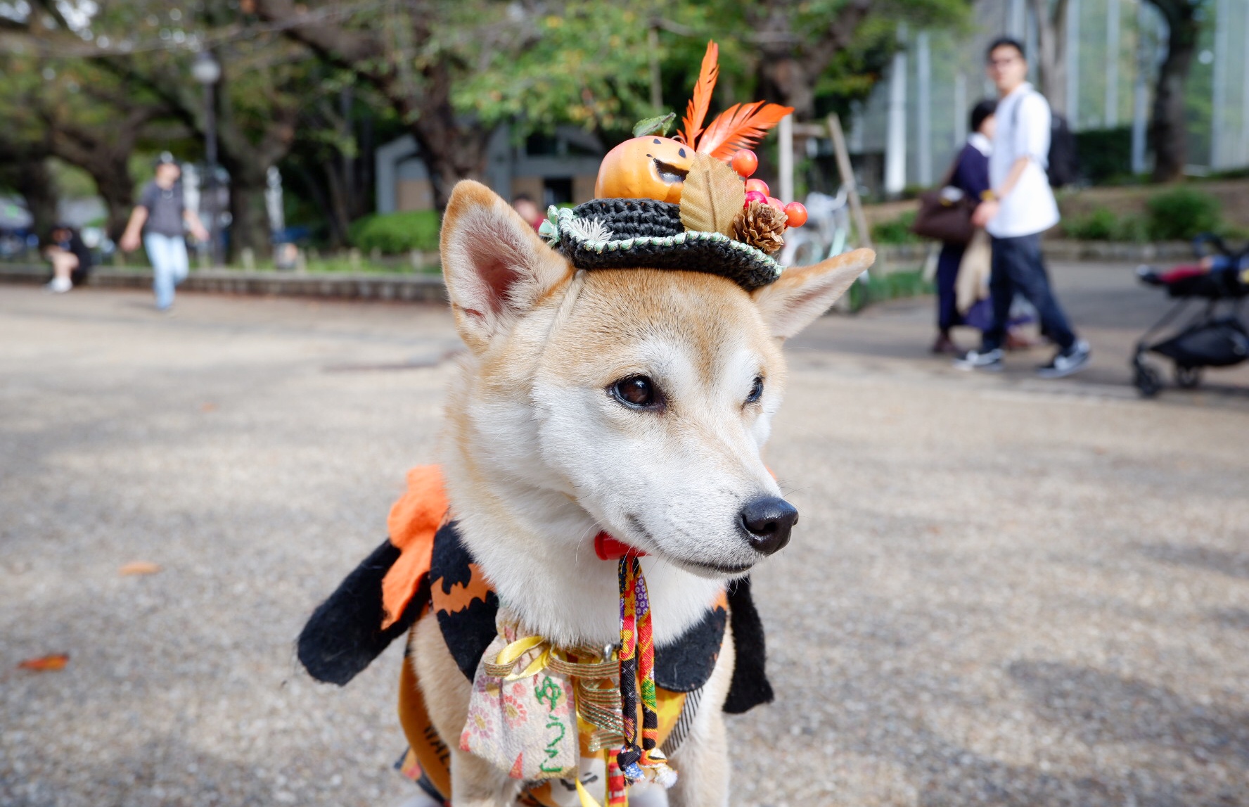 輕井澤自助遊攻略