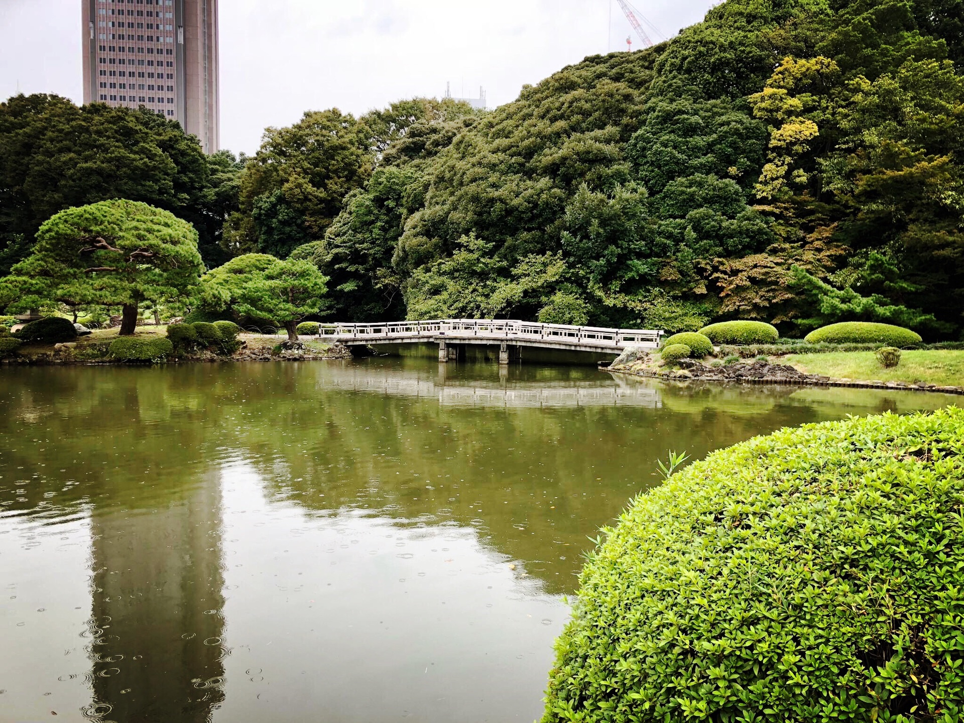 東京自助遊攻略