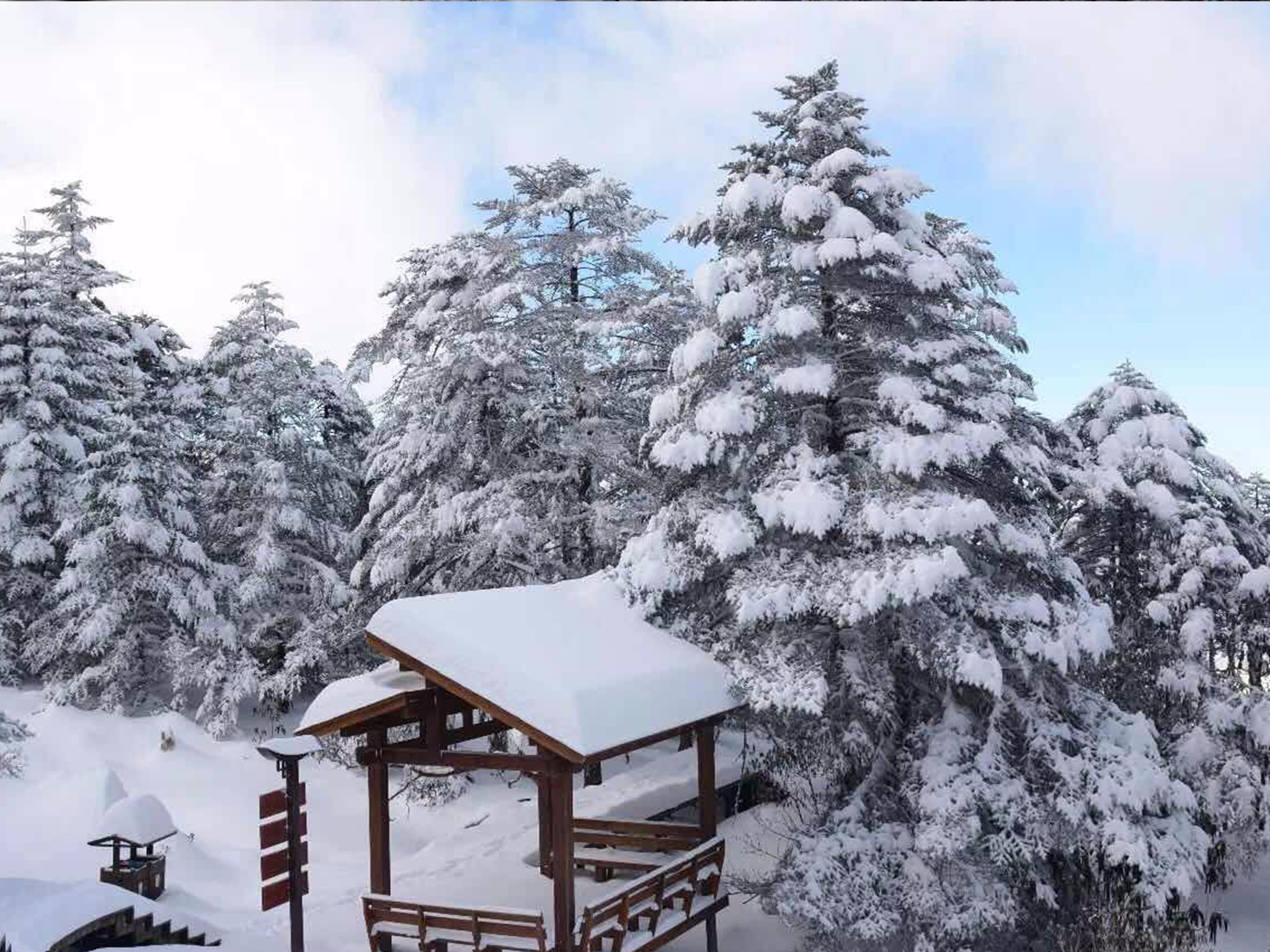 冬季种草~想在昆明玩雪?—这篇攻略带你玩转轿子雪山