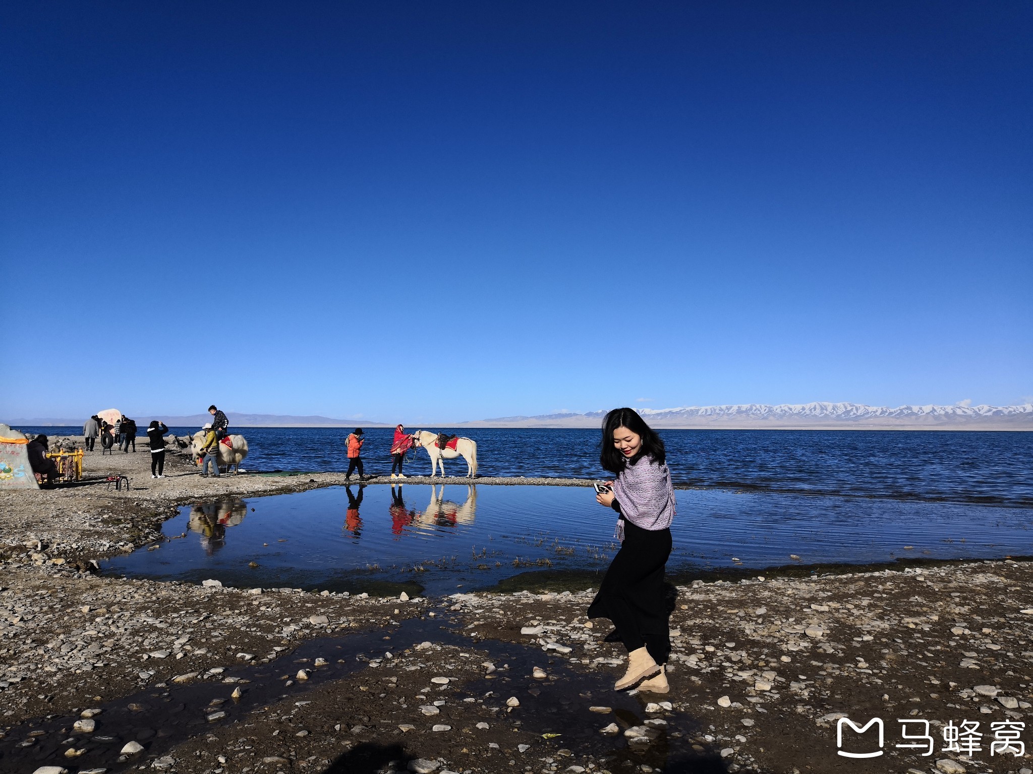 沙漠旅游适合怎么穿搭_沙漠骆驼图片(2)