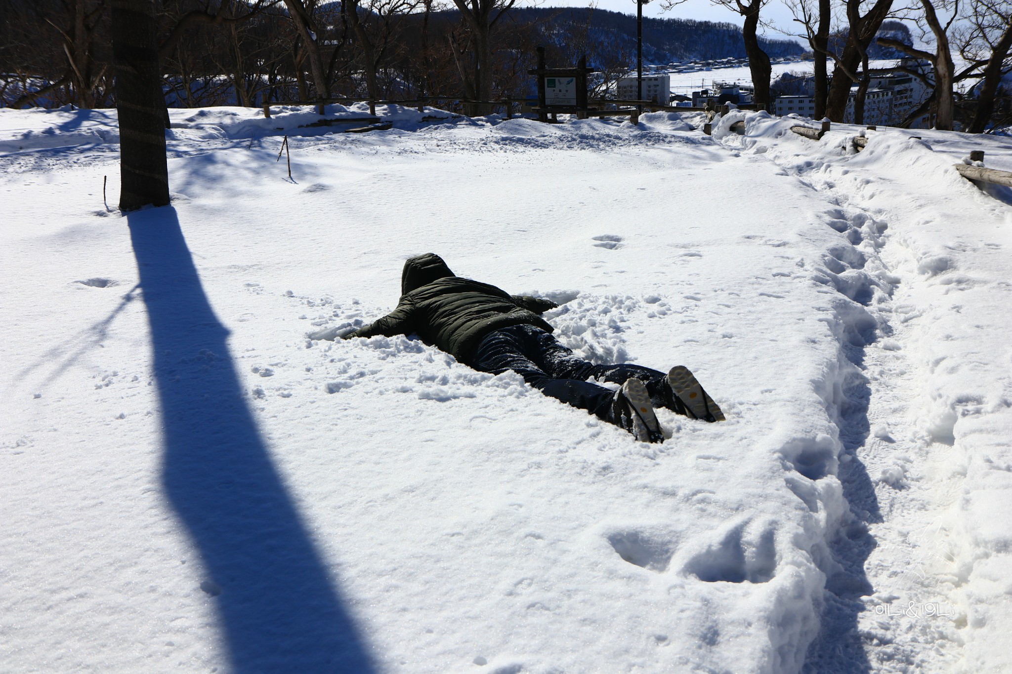 北海道自助遊攻略