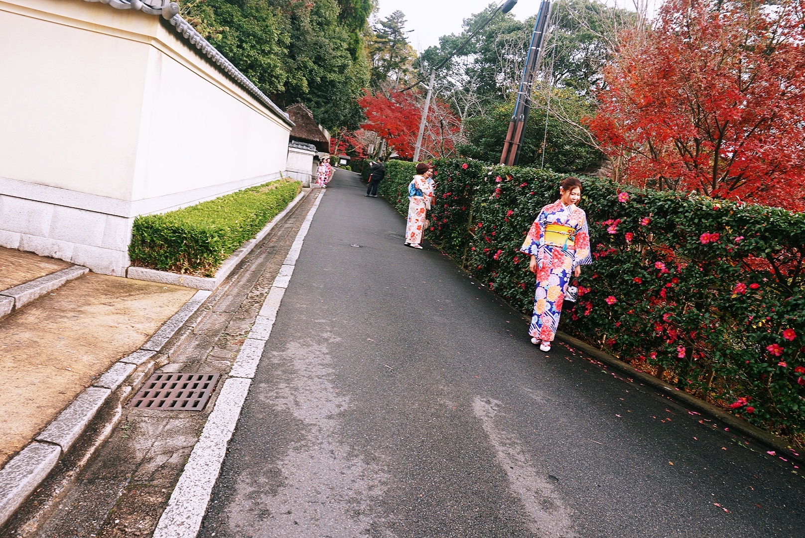 京都自助遊攻略