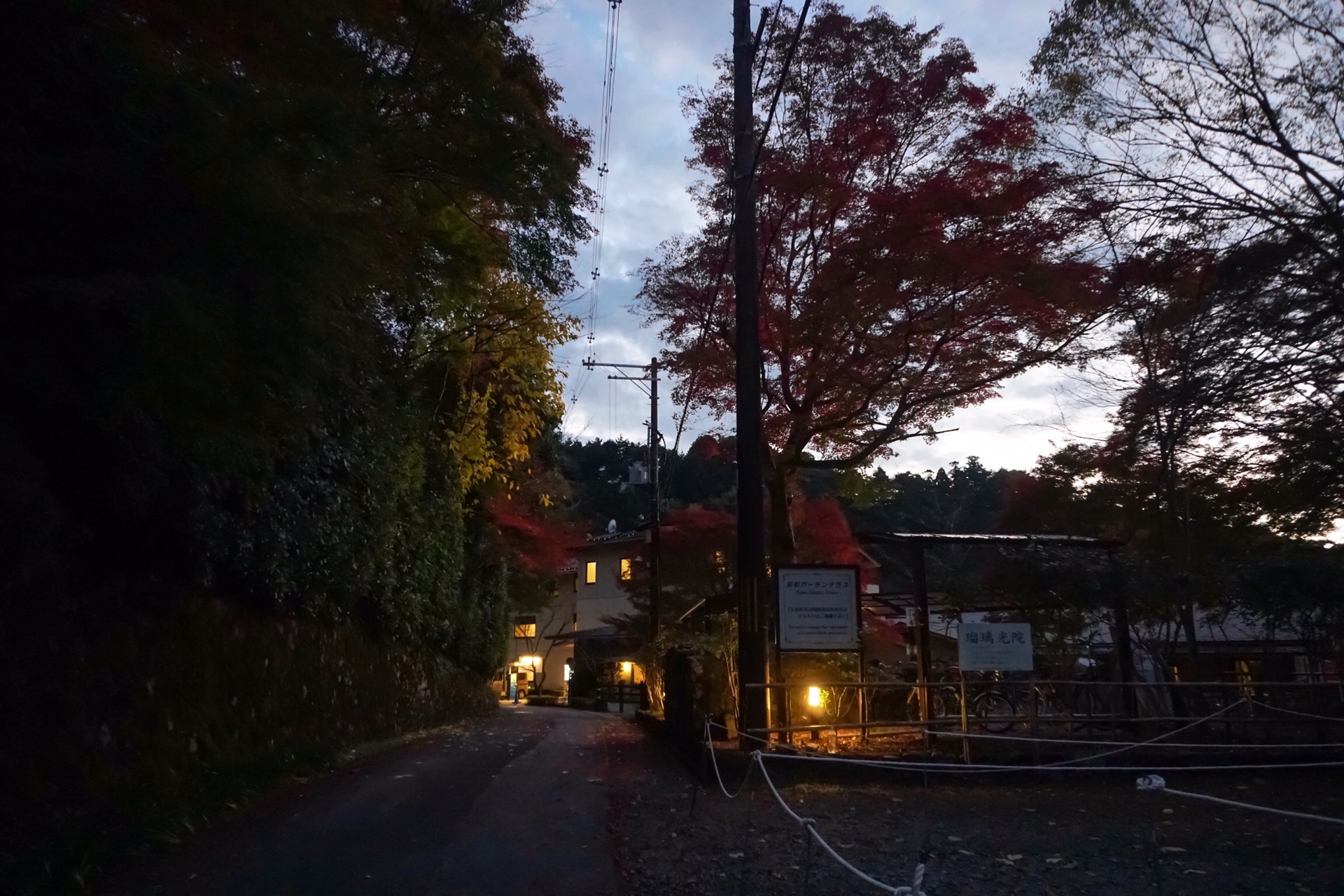 京都自助遊攻略