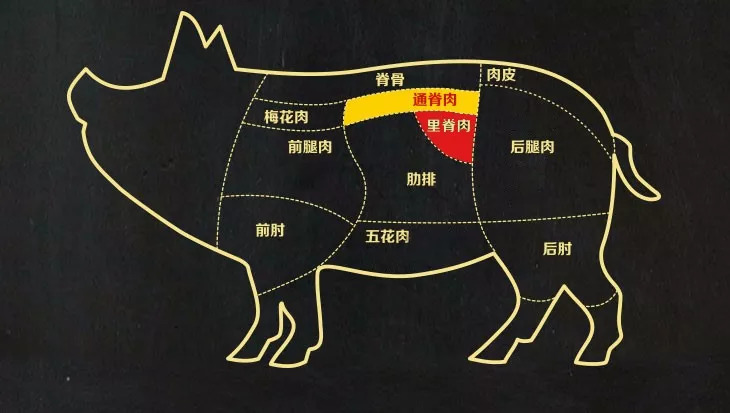 猪五花肉在哪个位置图片