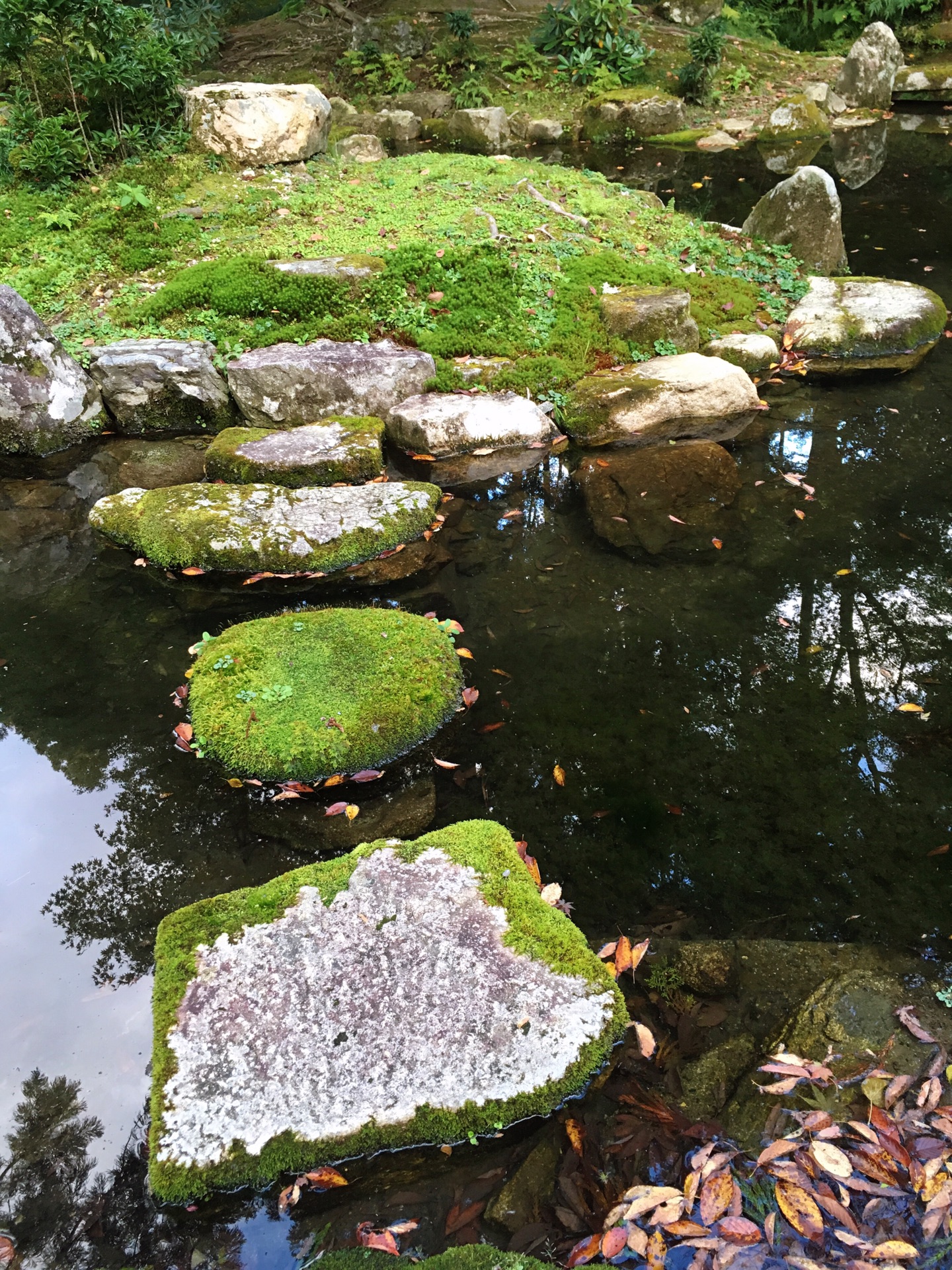 京都自助遊攻略