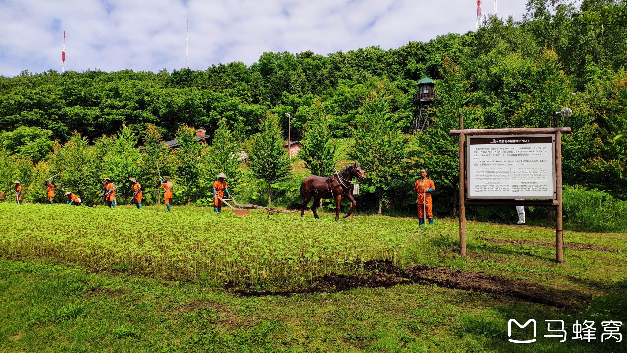 北海道自助遊攻略