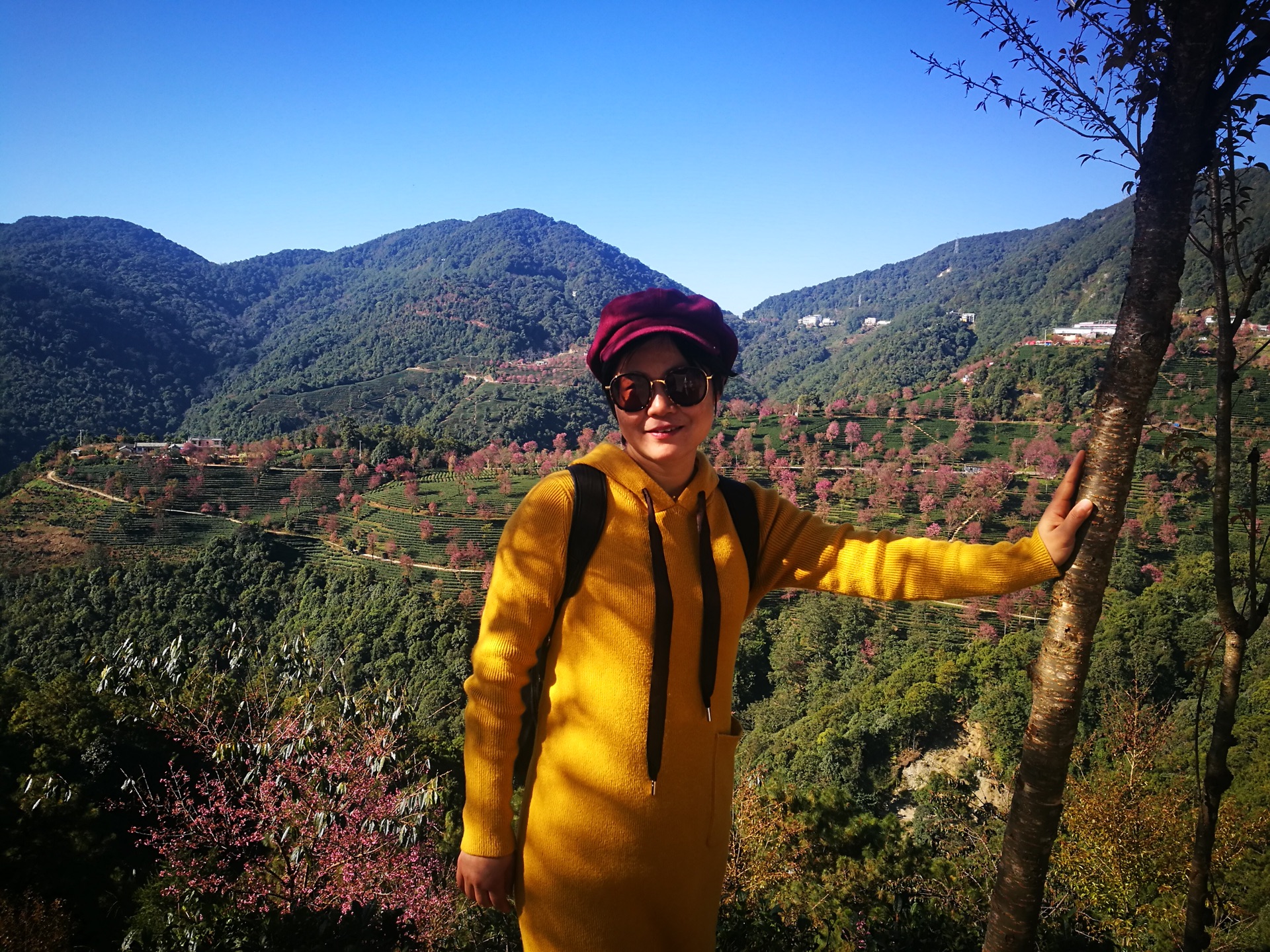 中年少女说走就走的旅行——大理游记