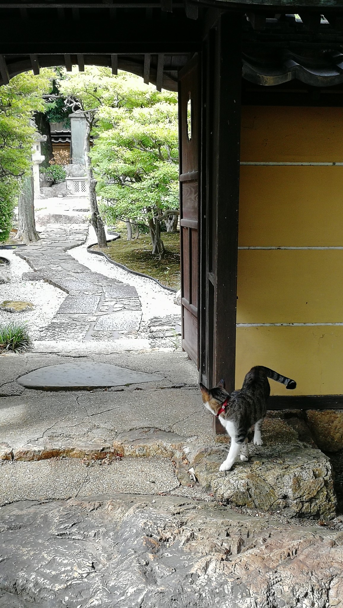 名古屋自助遊攻略