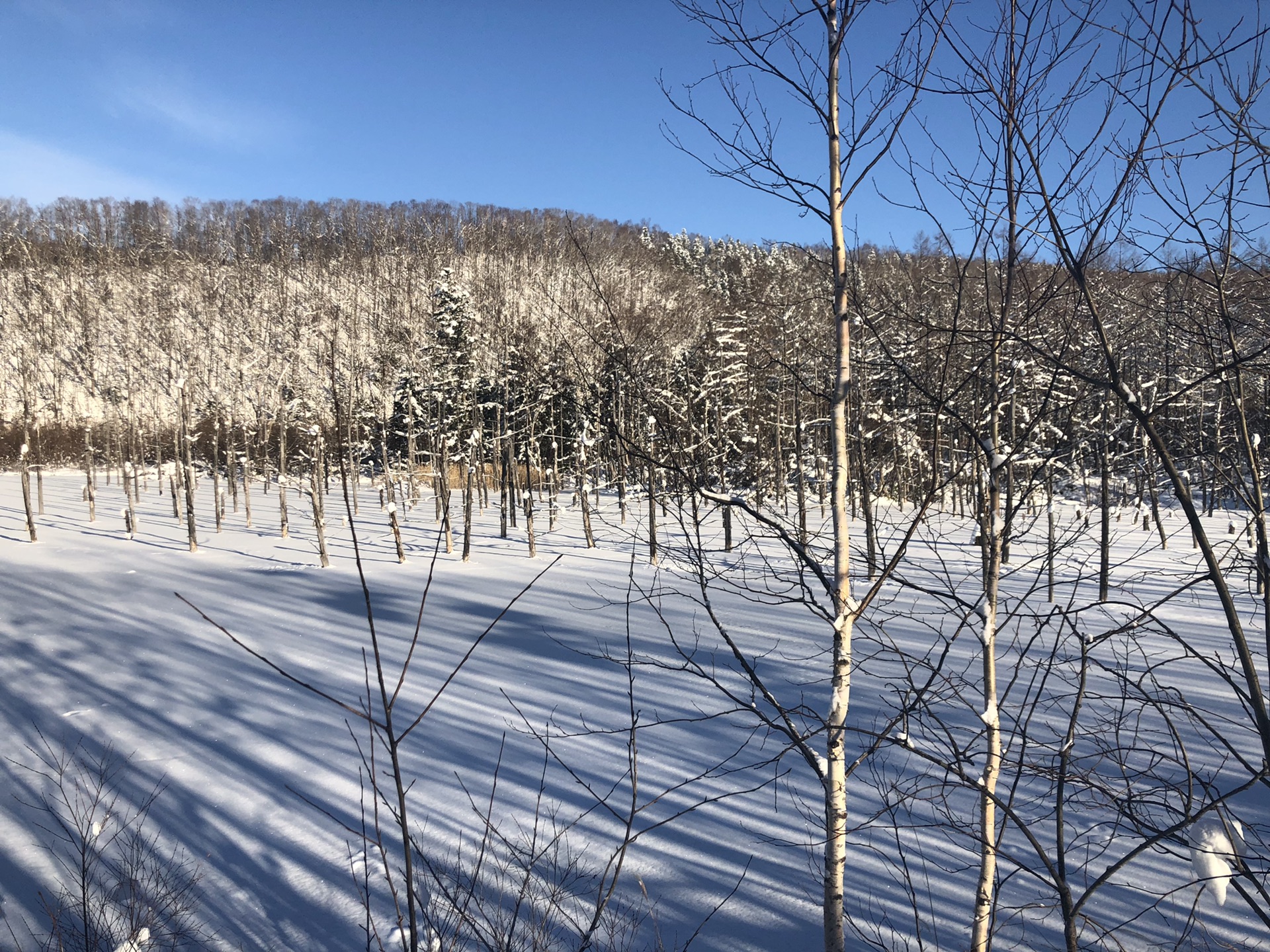 北海道自助遊攻略