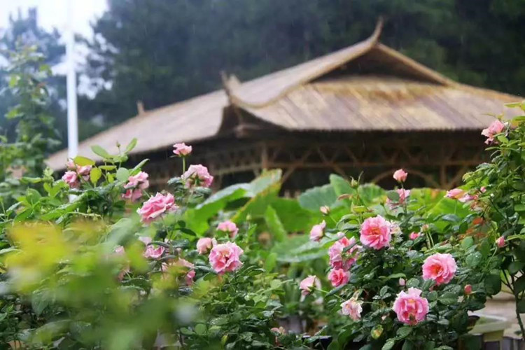 长沙县双江镇最好玩的休闲山庄