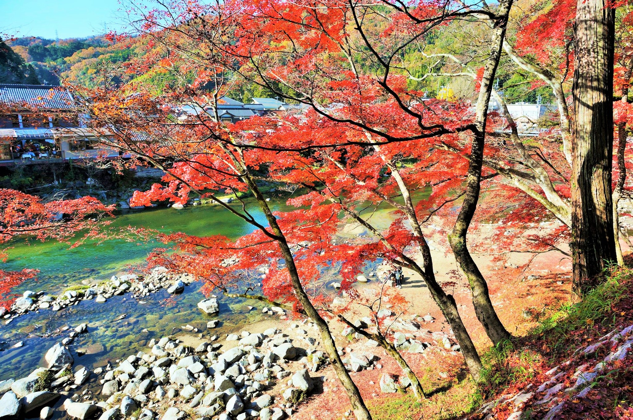 名古屋自助遊攻略