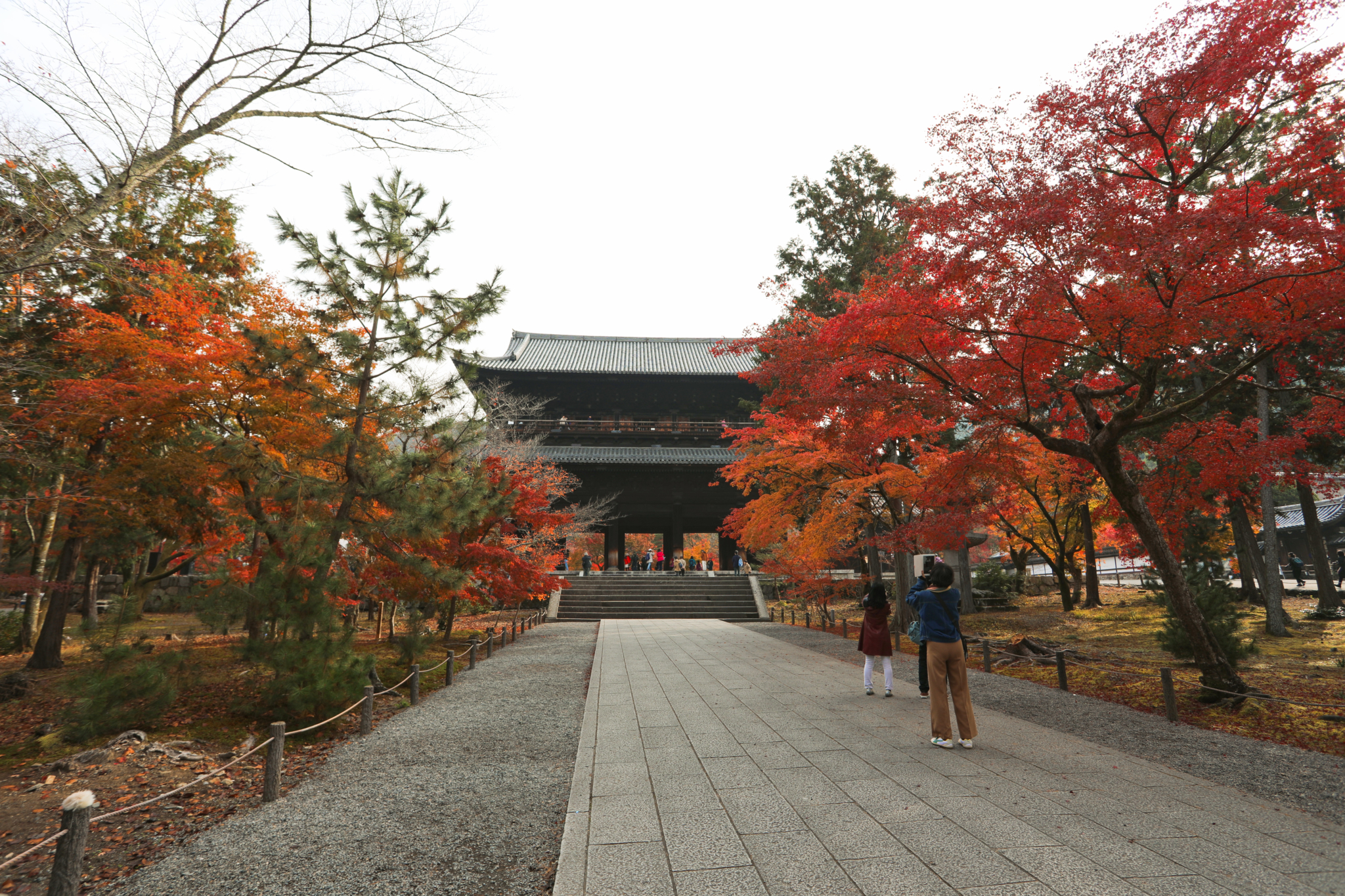 京都自助遊攻略