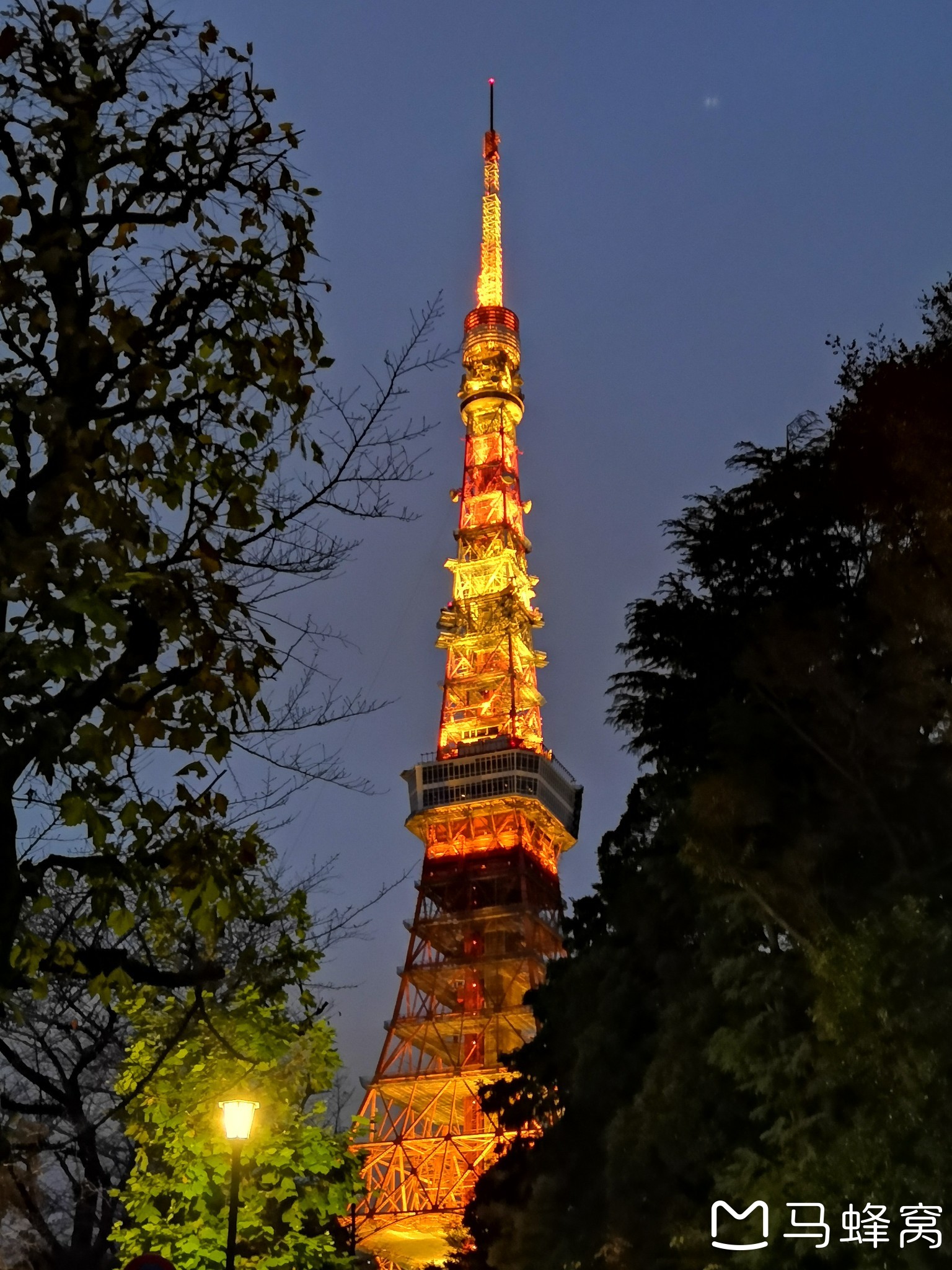 東京自助遊攻略