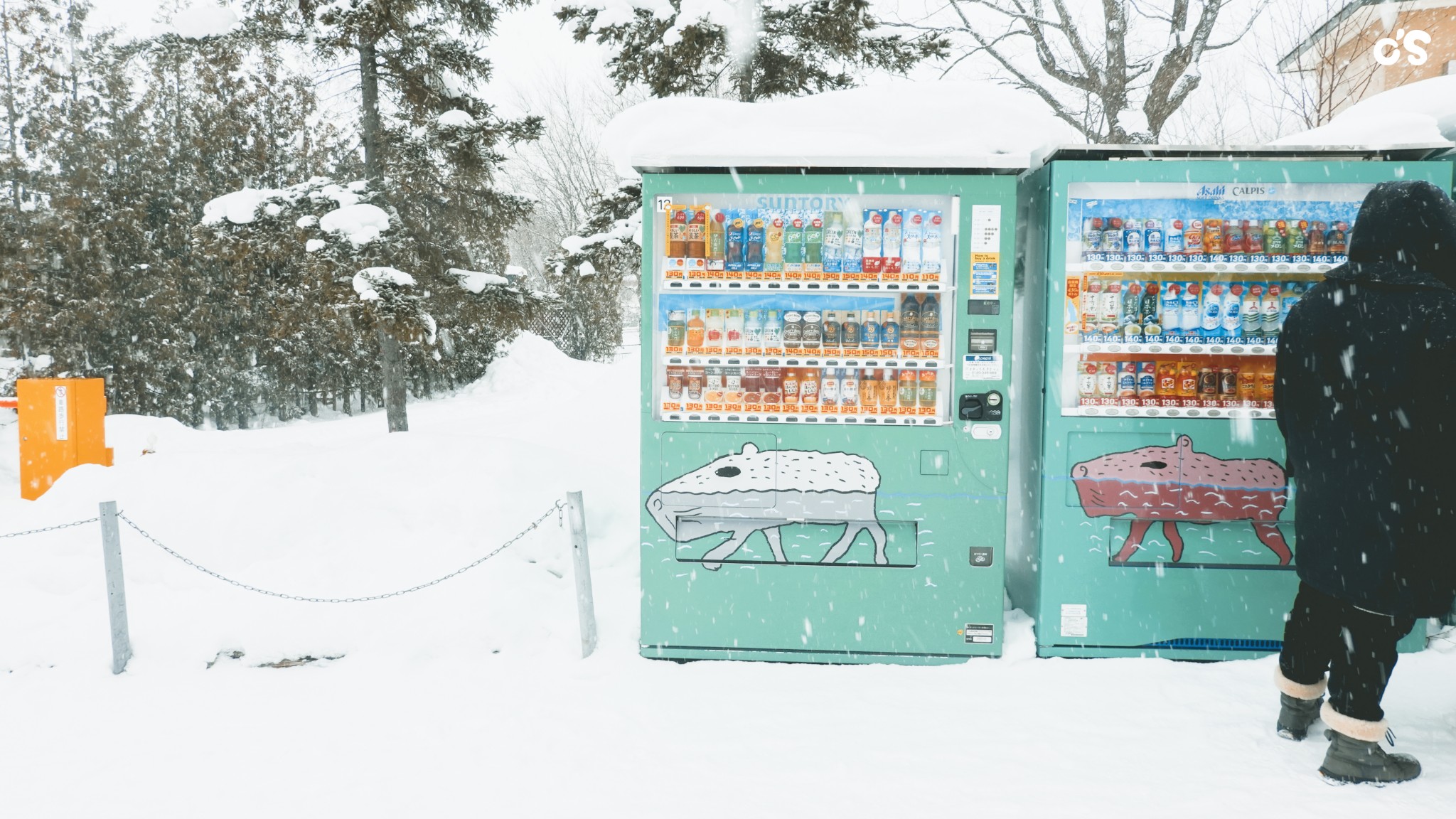 北海道自助遊攻略