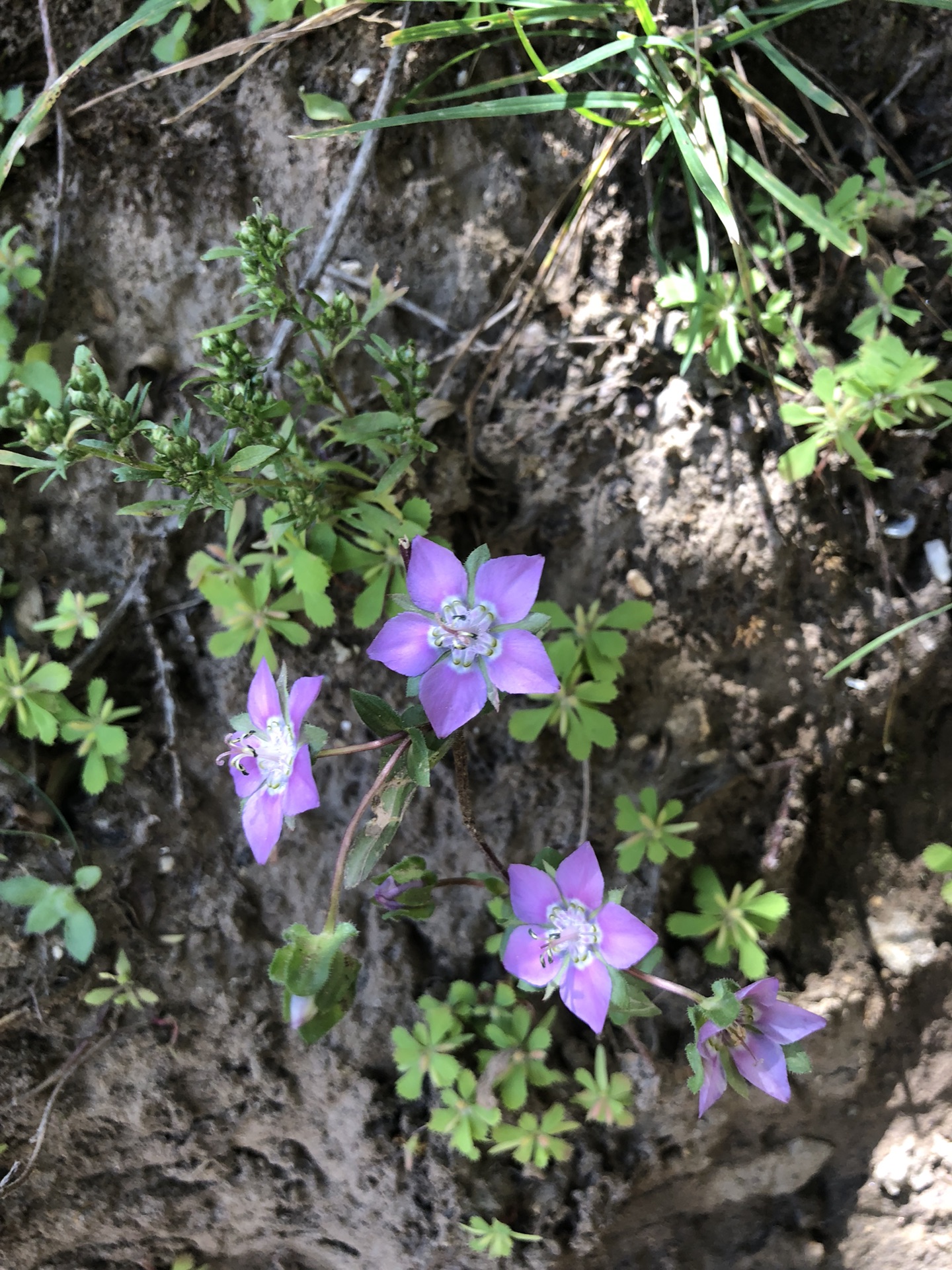 探秘山南扎央宗溶洞-在静谧中感受莲花生大师修行之地