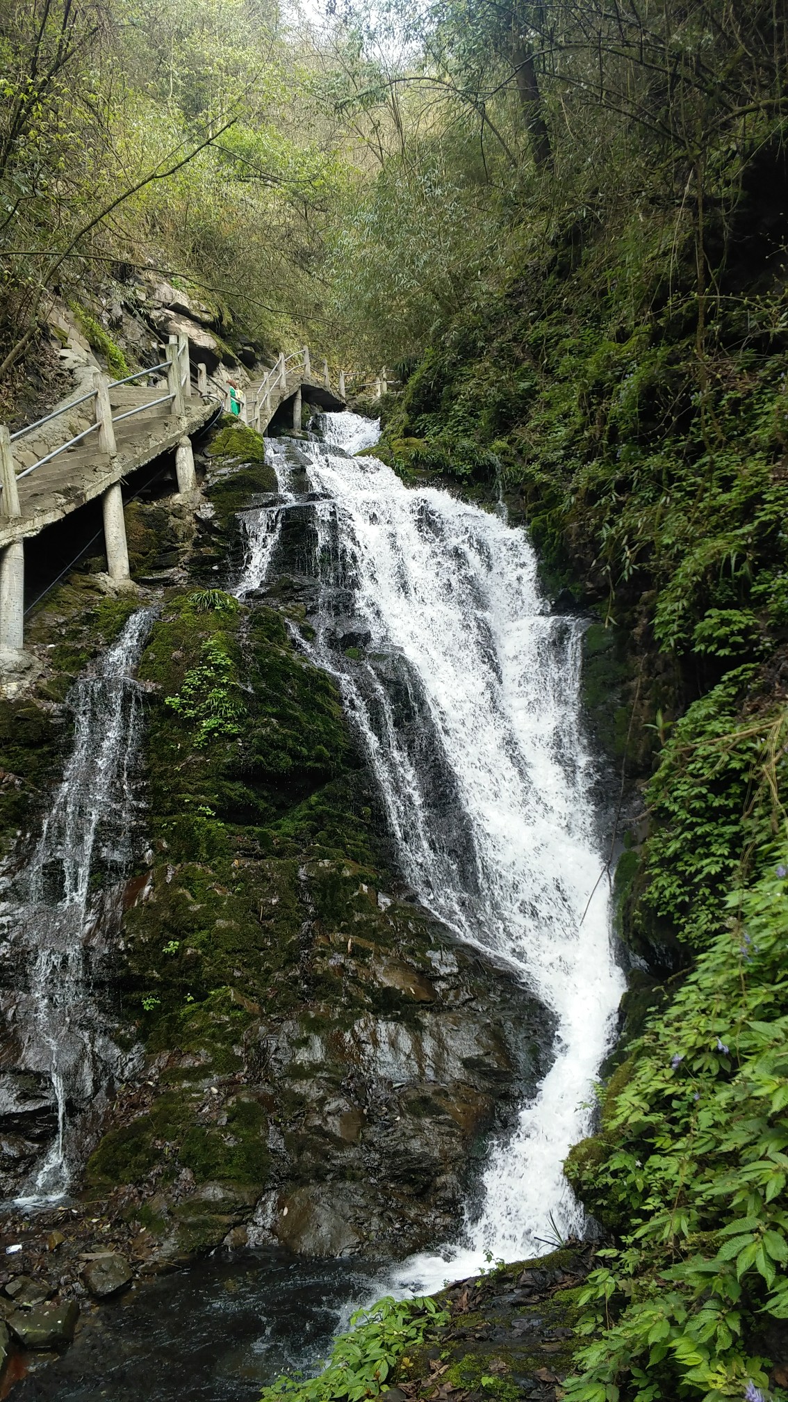 惋惜之,忆卧龙谷美.,彭州自助游攻略 - 马蜂窝