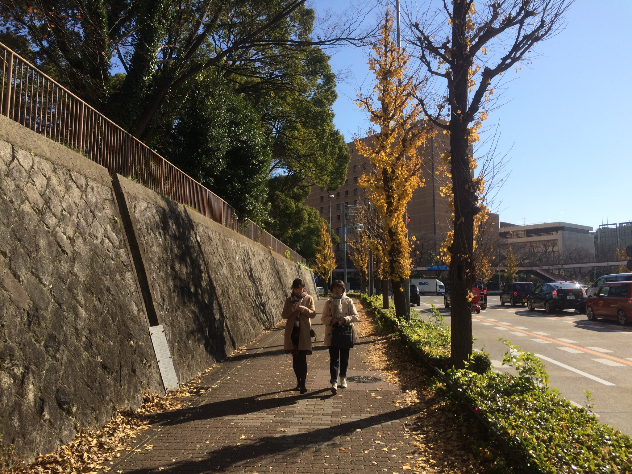 名古屋自助遊攻略