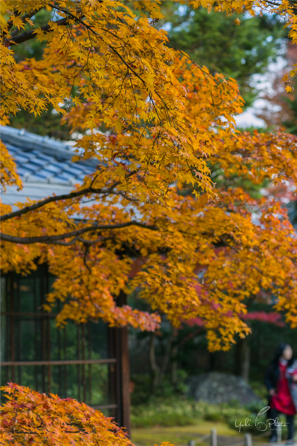 京都自助遊攻略