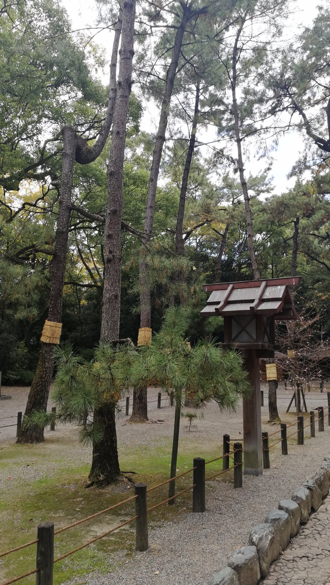 名古屋自助遊攻略