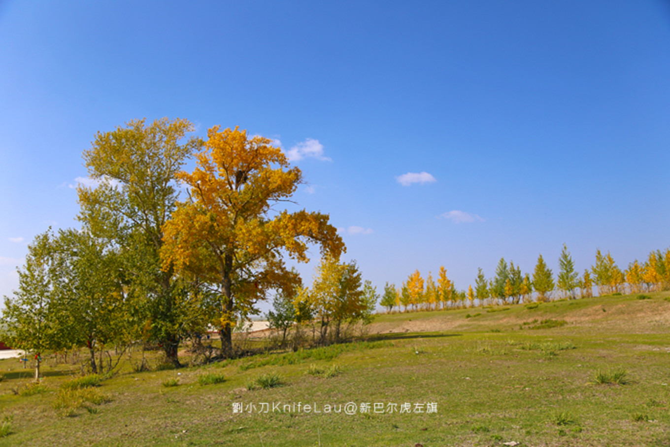 漠河自助遊攻略