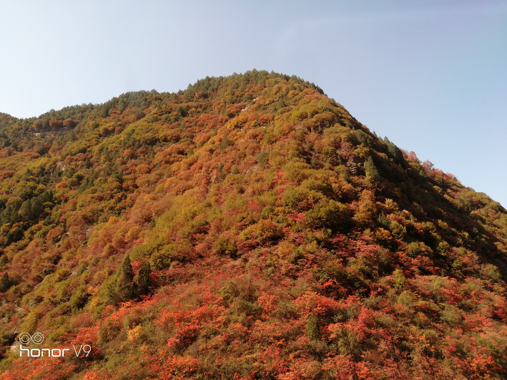 靈官峽的紅葉