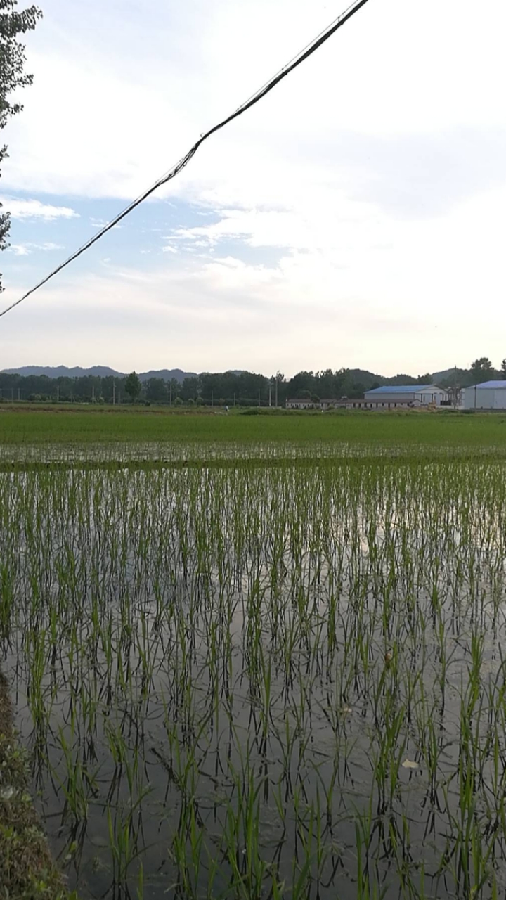 川藏南線自助遊攻略